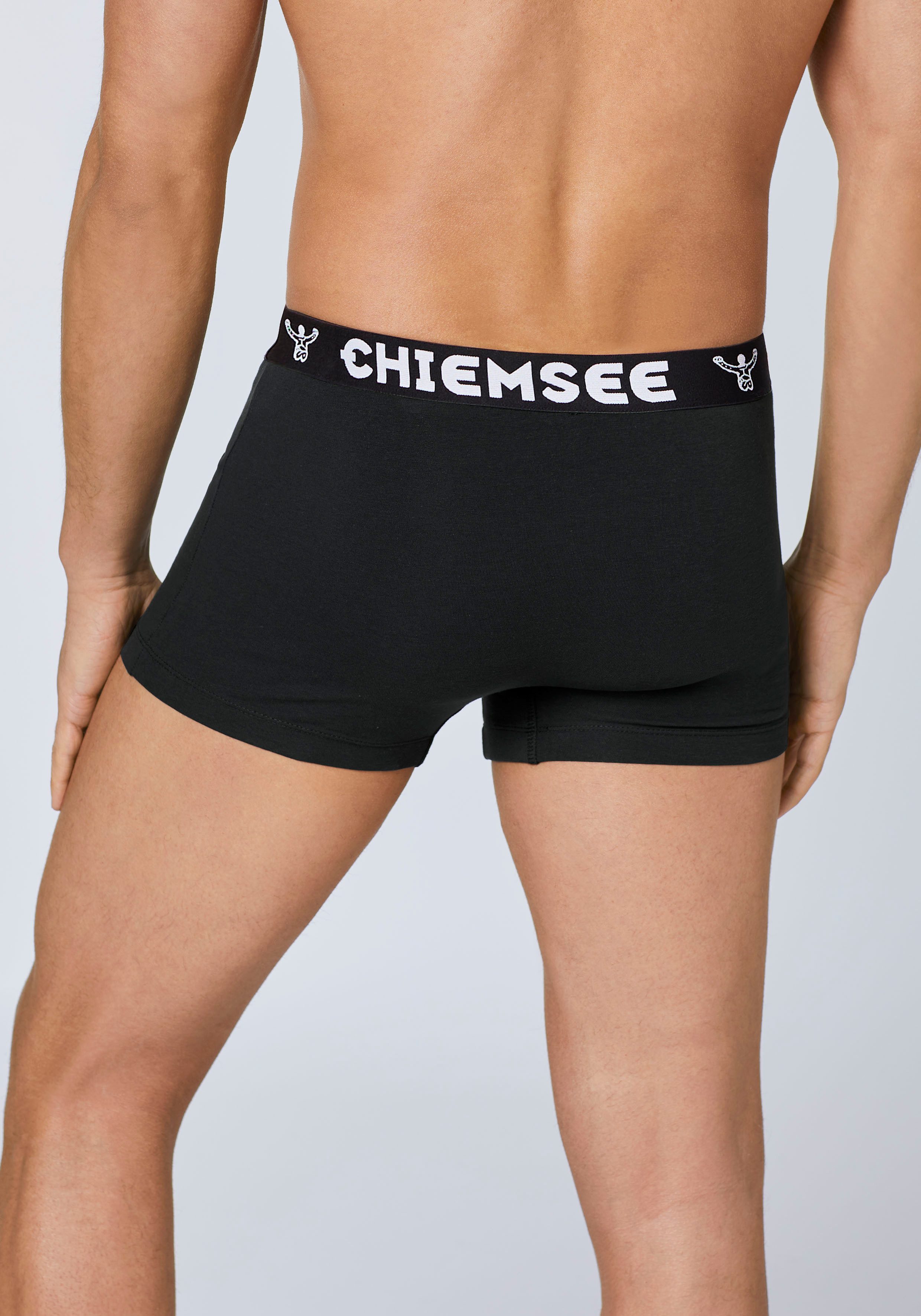 Chiemsee Boxershort Set van 3 (set, 3)