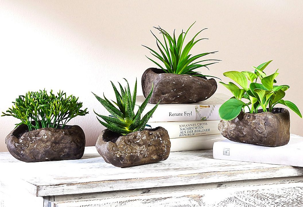 Home affaire Kunstplant Vetplanten (4 stuks)