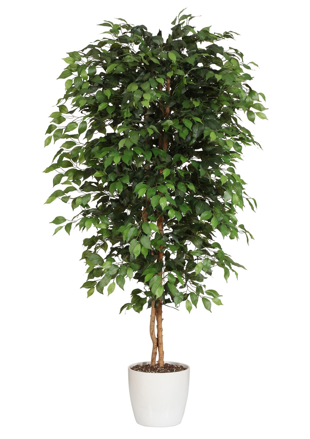 Creativ green Kunstplant Ficus Benjamini (1 stuk)