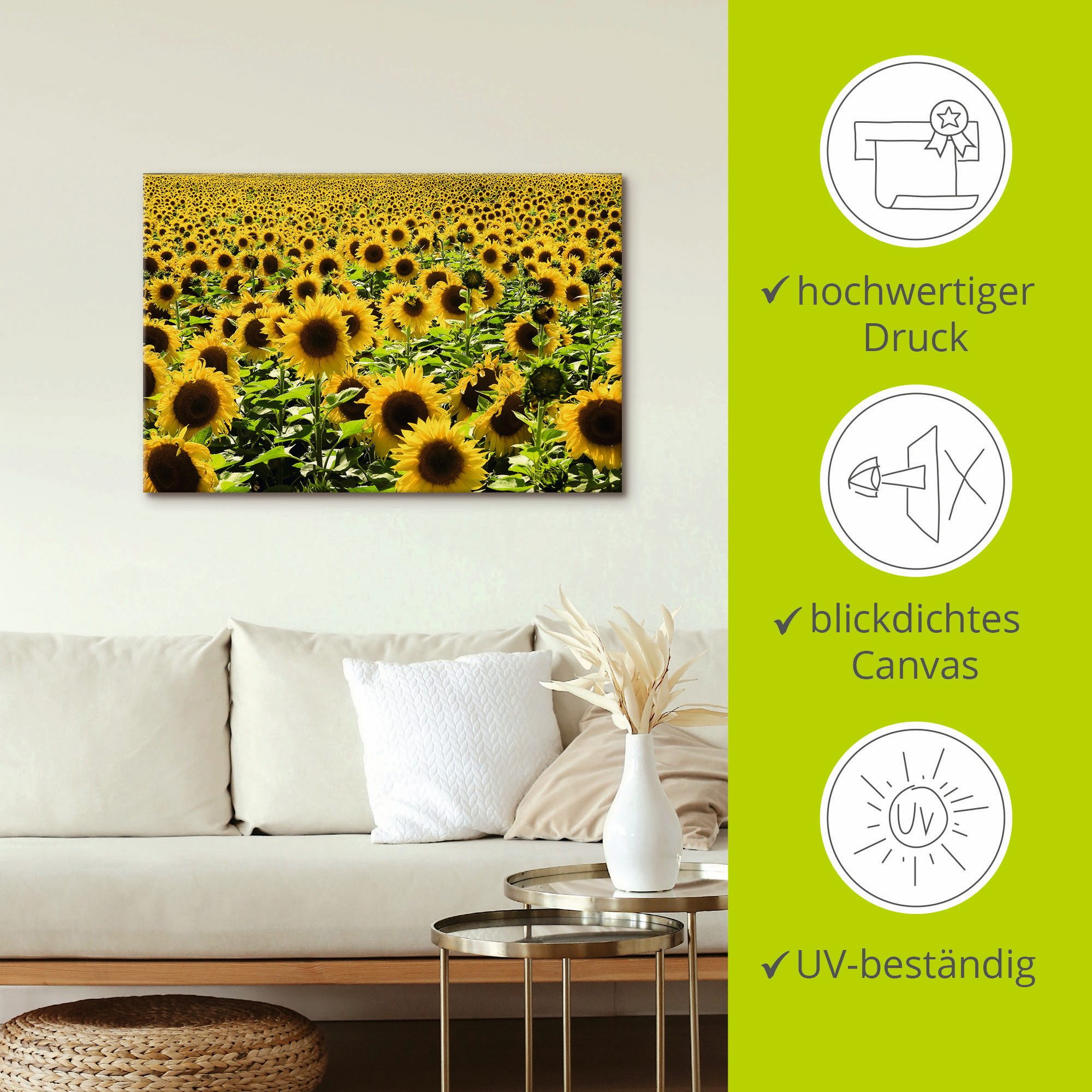 Artland Artprint Zonnebloemveld als artprint van aluminium, artprint voor buiten, artprint op linnen, poster in verschillende maten. maten