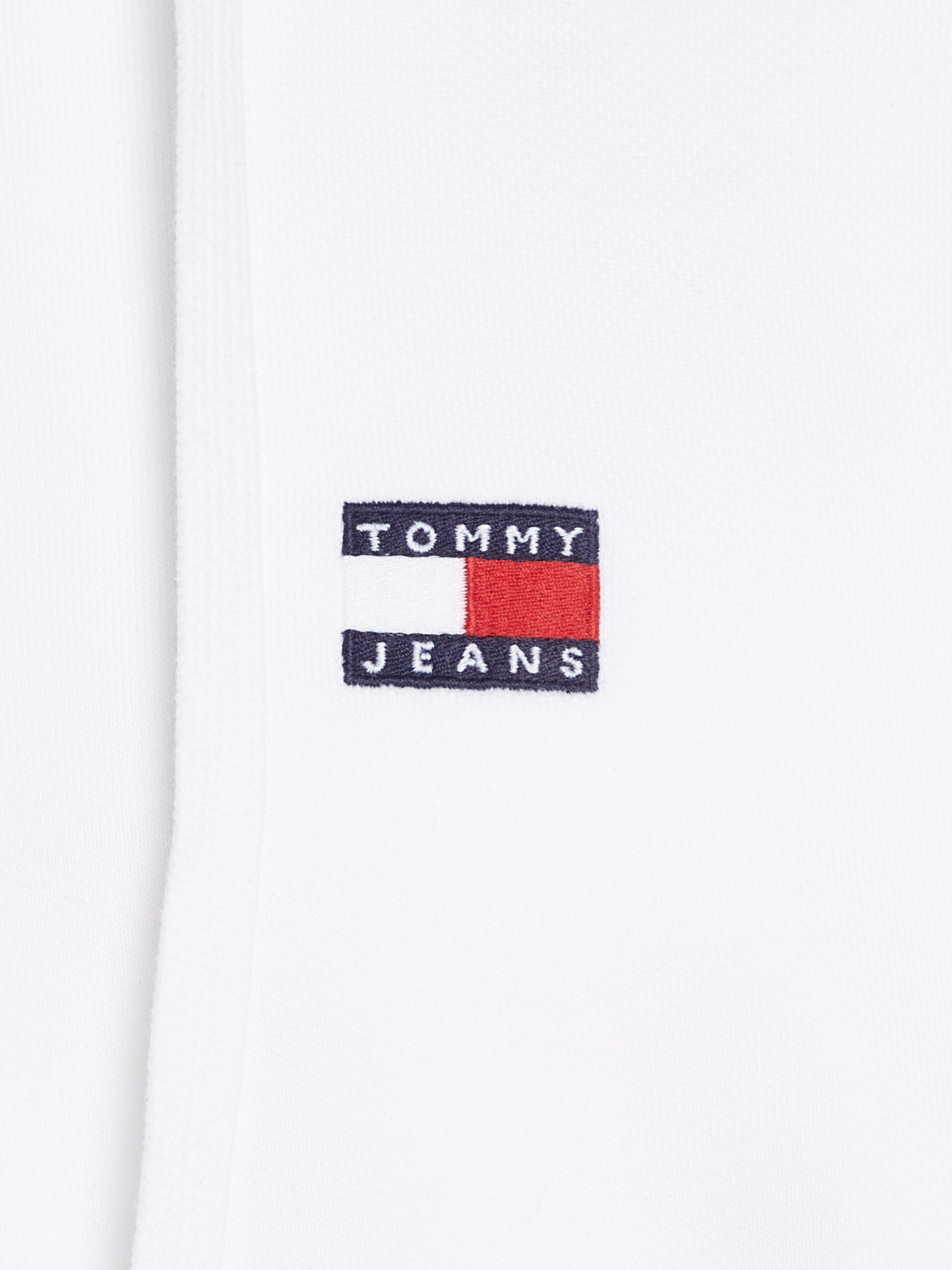 TOMMY JEANS Hoodie TJM REG BADGE HOODIE EXT