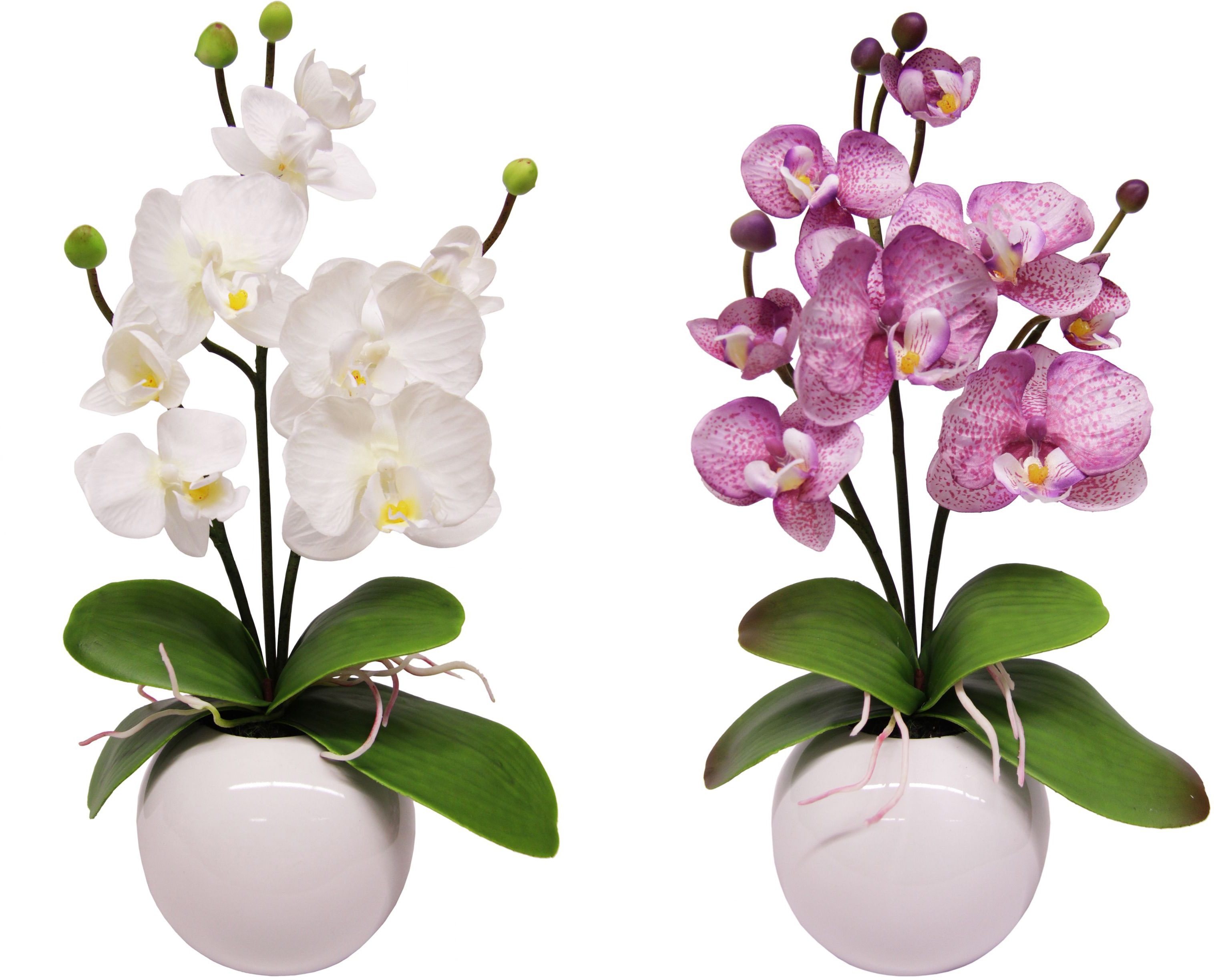 I.GE.A. Kunstplant Orchidee (set, 2 stuks)