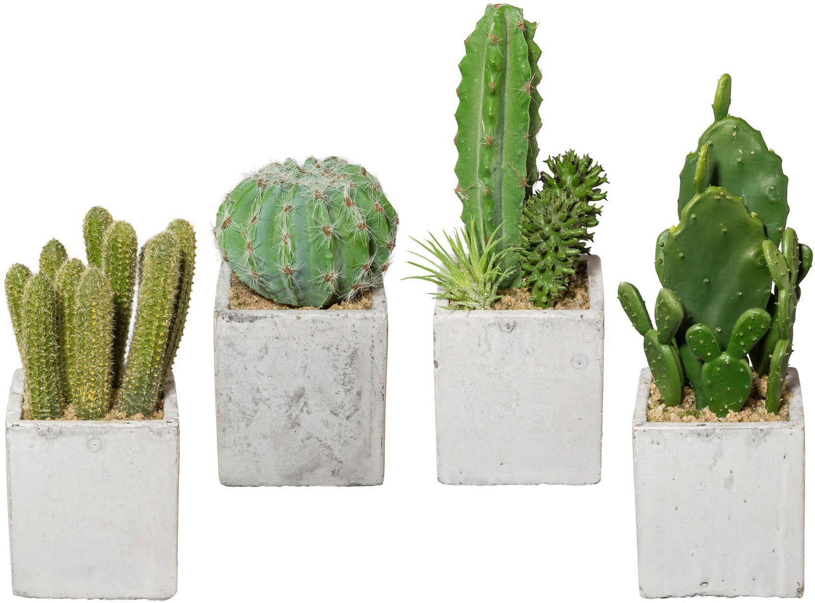 Creativ green Kunstcactus Cactus set van 4, in een cementpot