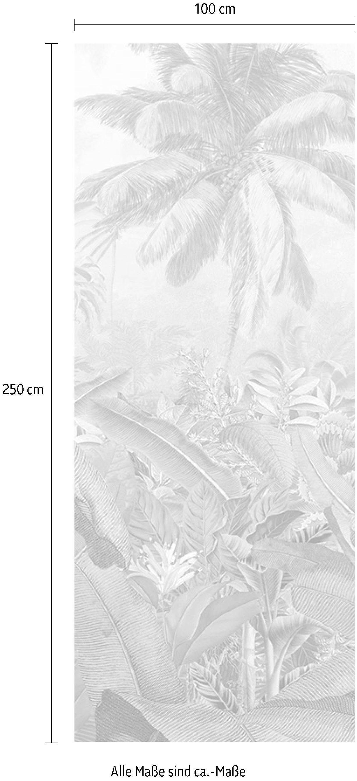 Komar Vliesbehang Amazonia black Woonkamer, slaapkamer (1 stuk)