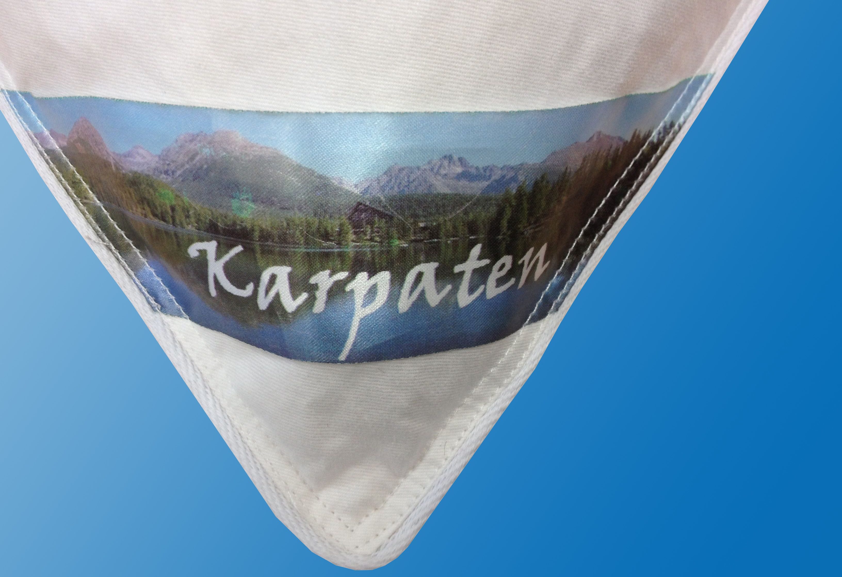 Dreams Verenhoofdkussen Karpaten