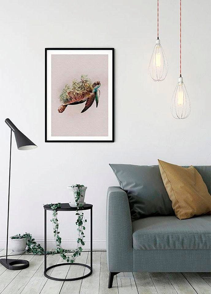 Komar Wanddecoratie Animals Paradise Turtle Wanddecoratie - zonder lijst (1 stuk)