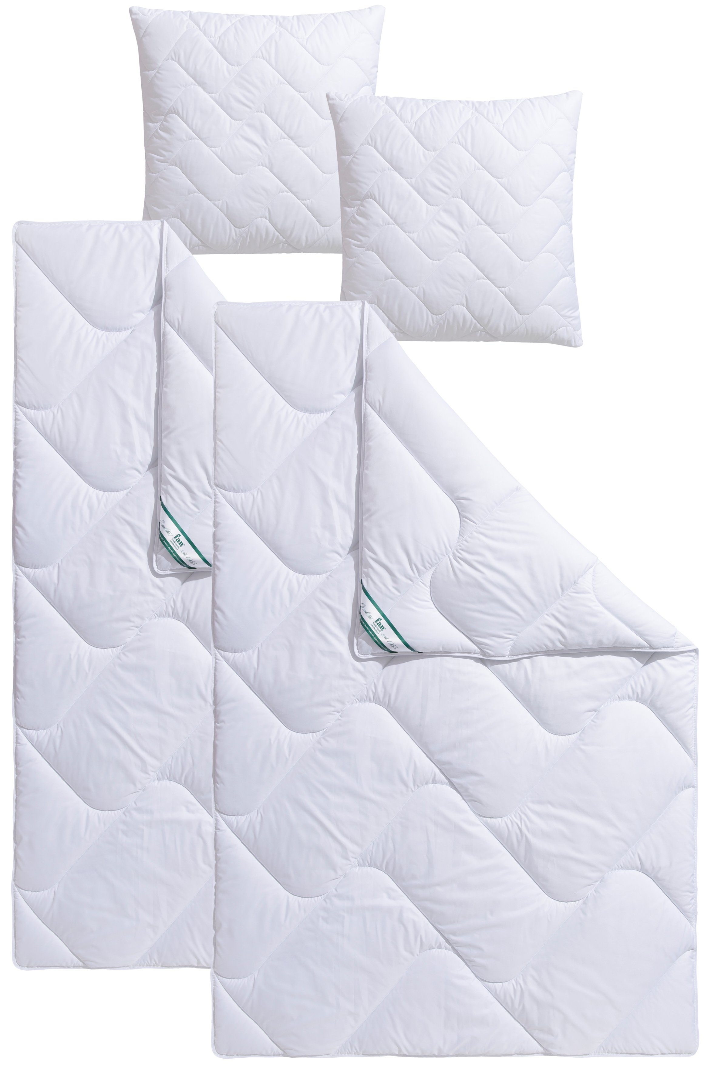 f.a.n. Frankenstolz Synthetisch dekbed + hoofdkussen Beddengoed in 135x200 cm, voor zomer of 4-seizoenen (voordeelset)