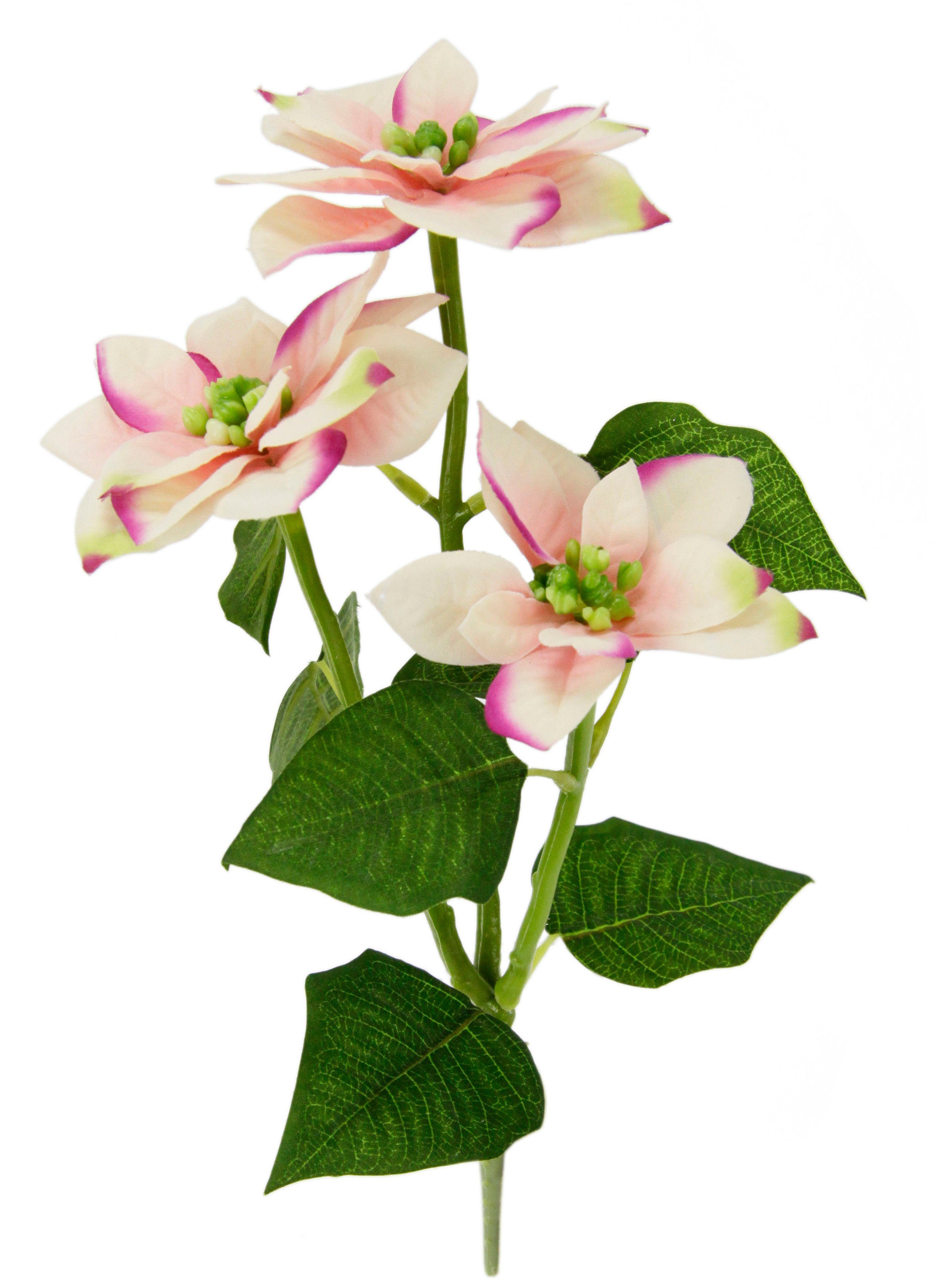 I.GE.A. Kunstbloem Kerstster Kunstmatige poinsettia tak, 5-delige set (5 stuks)