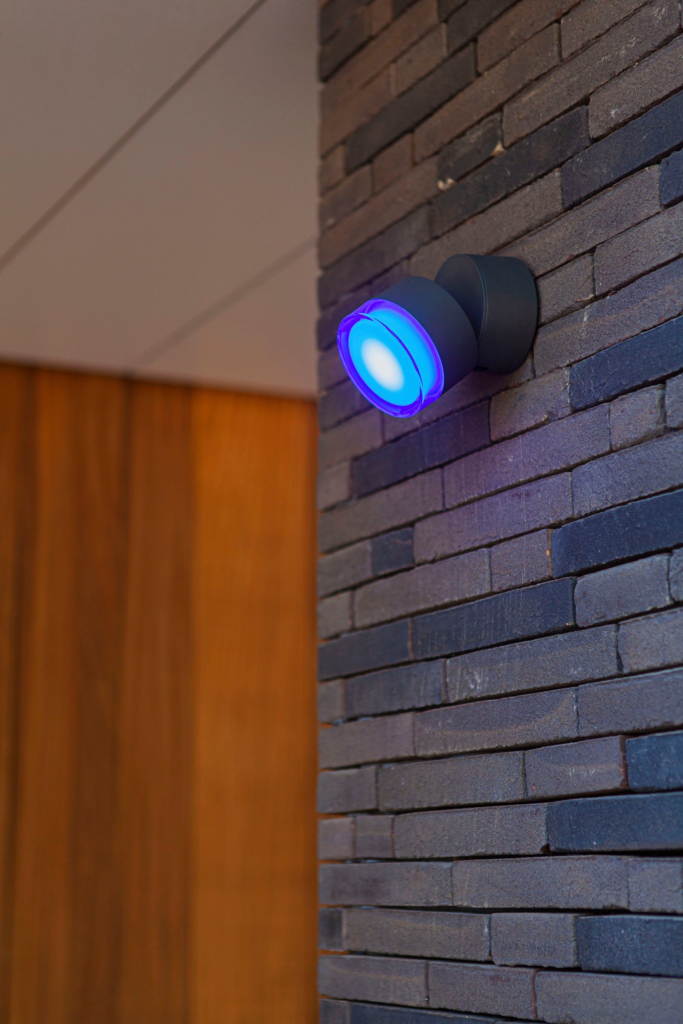 LUTEC Slimme ledlamp DROPSI Smart-home (1 stuk)