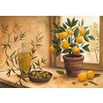 home affaire artprint a. s.: olive an lime 99-69 cm beige