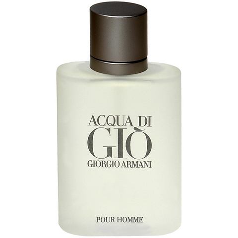 Giorgio Armani Acqua Di Gio Pour Homme Aftershave Lotion Flacon 100ml