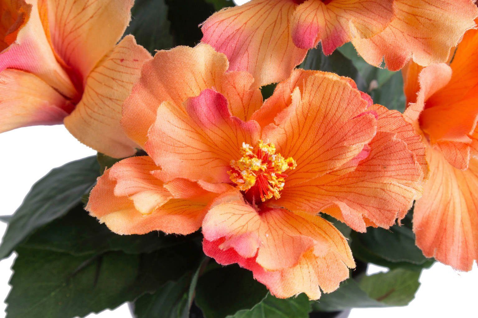 Botanic-Haus Kunstbloem Hibiscus in pot (1 stuk)