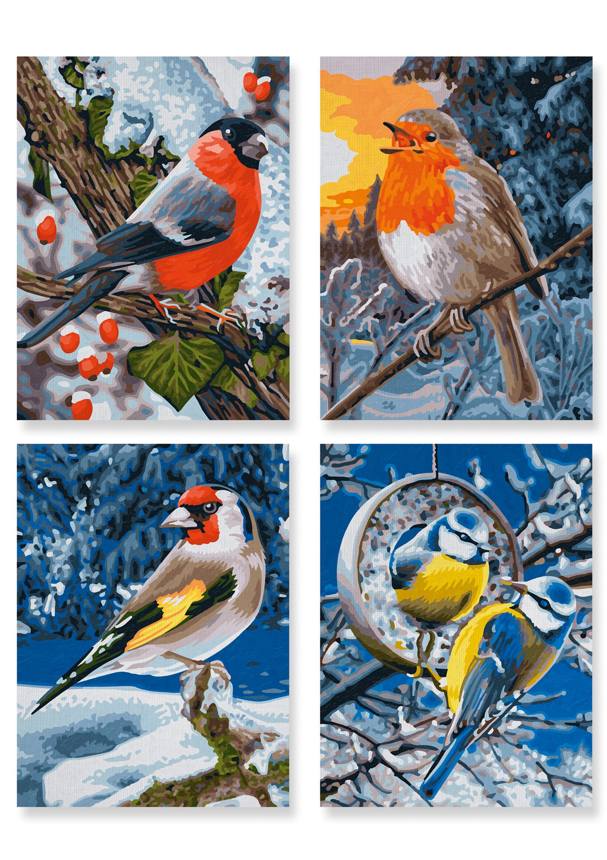 Schipper Schilderen op Meesterklasse Quattro - Wintervogels in Germany in de online winkel | OTTO