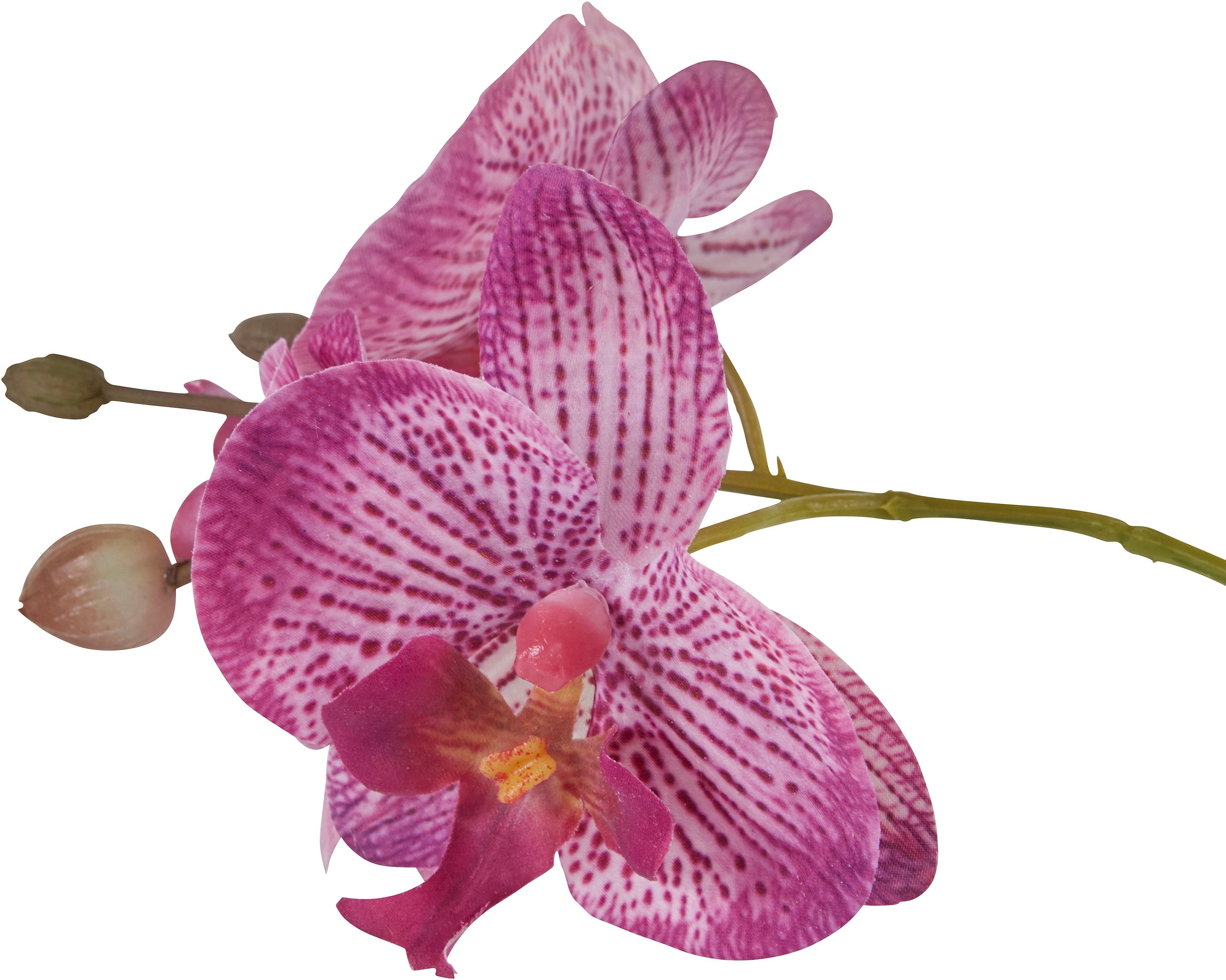 Home affaire Kunstplant Orchidee Kunstorchidee, in een pot (1 stuk)