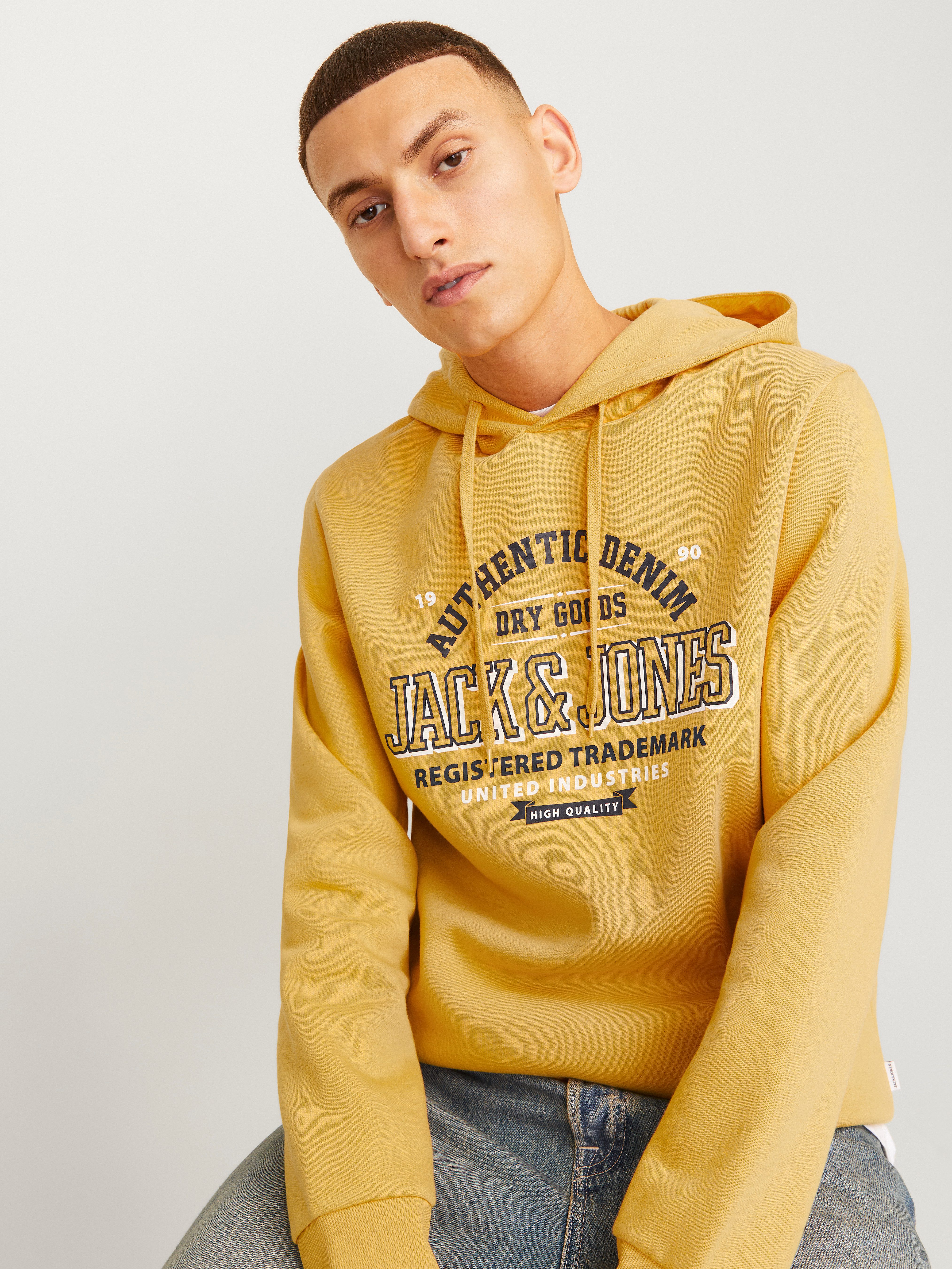 Jack & Jones Hoodie JJELOGO SWEAT HOOD 2 COL 24 25 NOOS