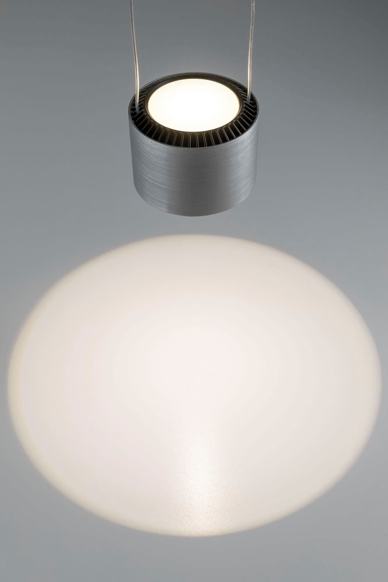Paulmann Led-hanglamp Aldan (1 stuk)