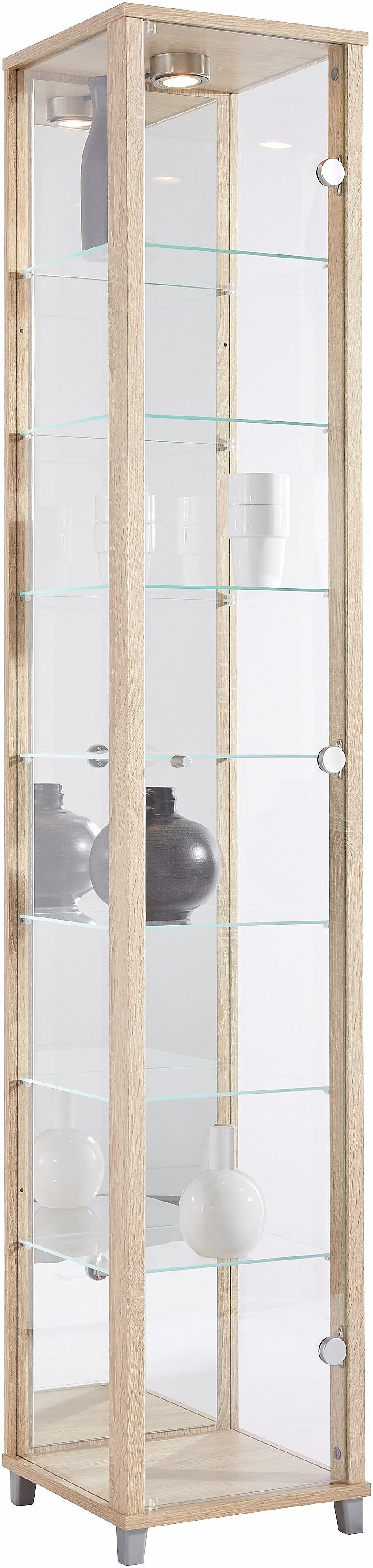 fif möbel Vitrinekast OPTIMA Staande vitrine/Glasvitrine 1x Glazen deur, perfect voor verzamelaars, verzamelvitrine