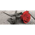 home affaire artprint op linnen rose on the wooden floor 160-55 cm rood