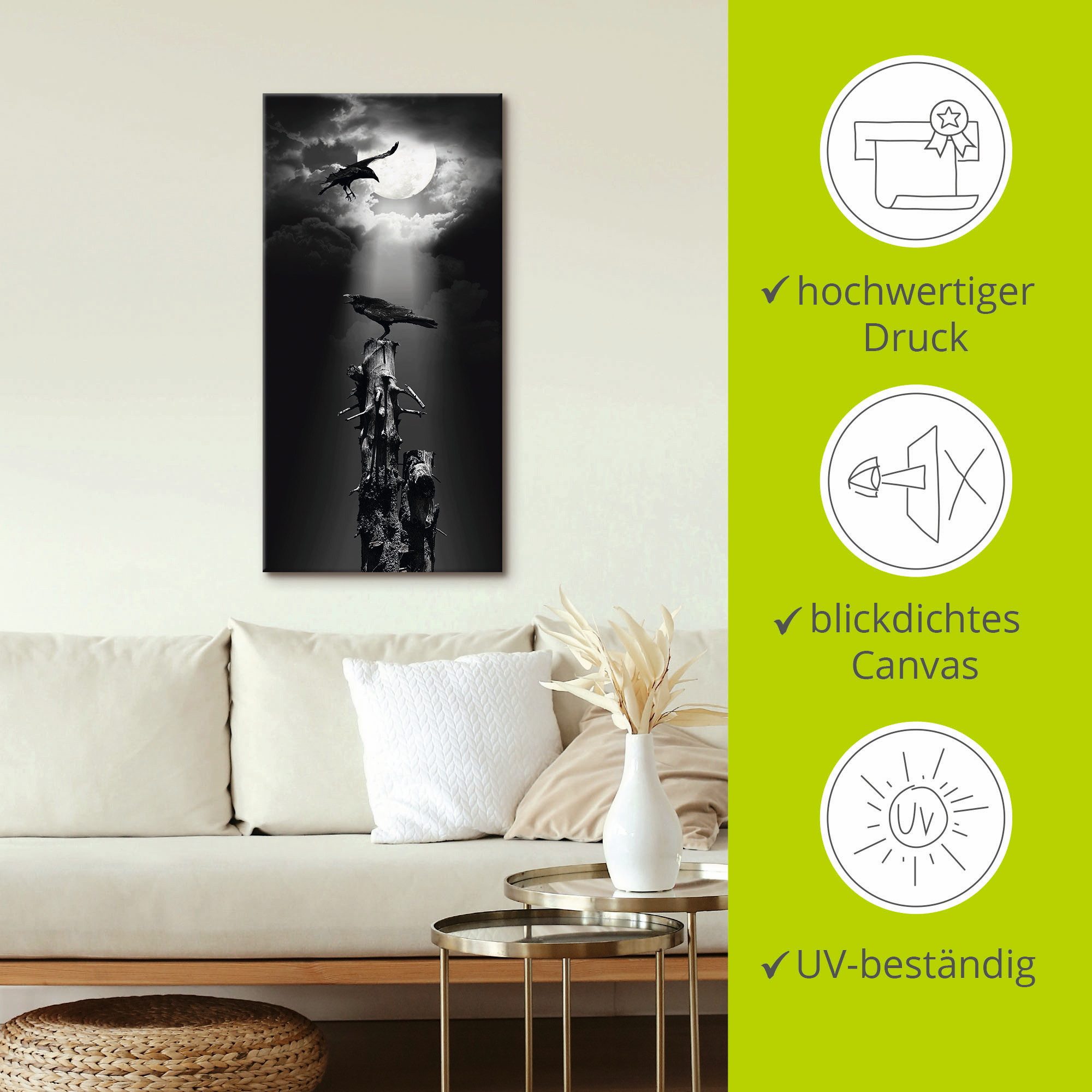 Artland Artprint Raaf in de nacht als artprint op linnen, poster, muursticker in verschillende maten