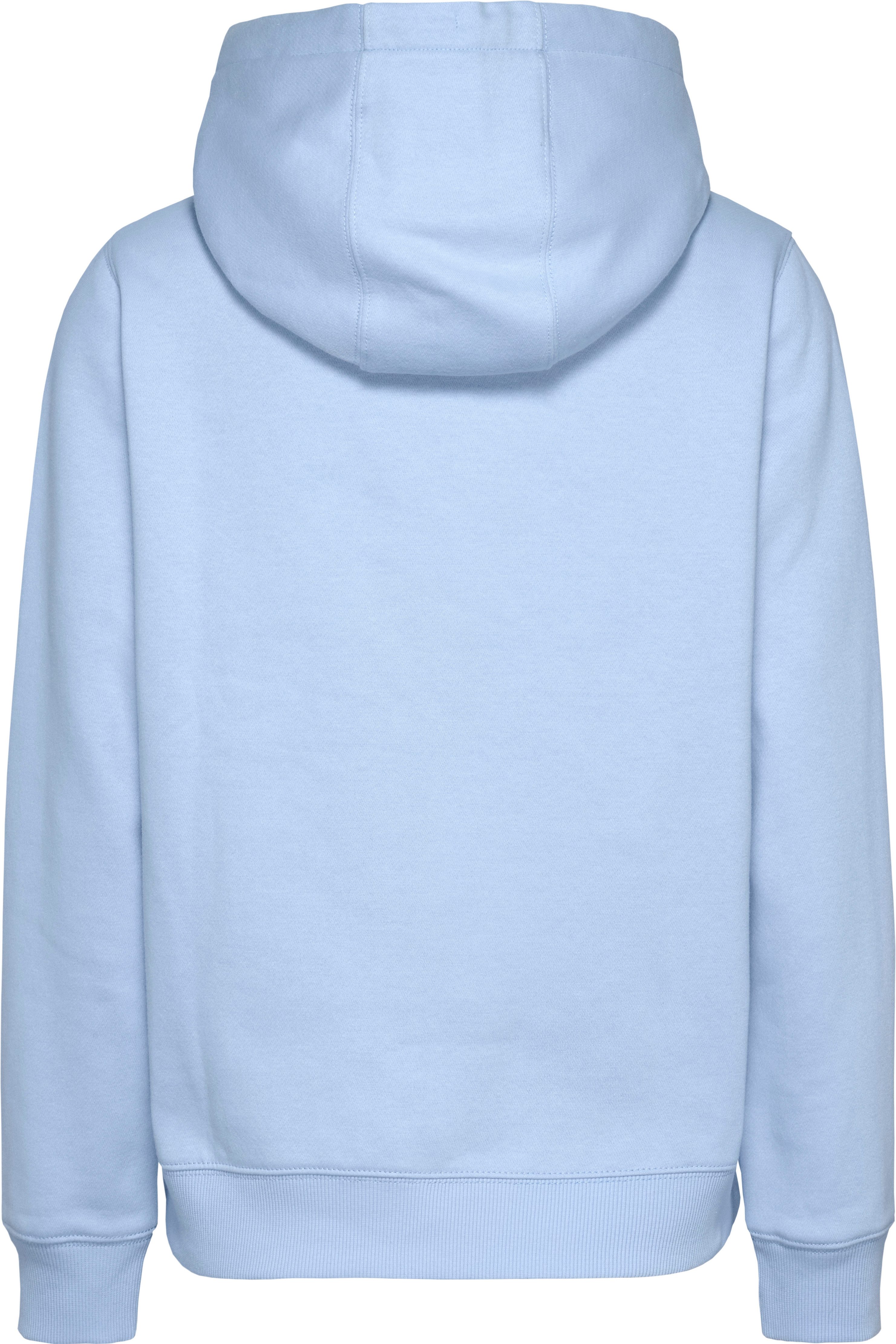 TOMMY JEANS Hoodie TJW REG S FLAG HOODIE