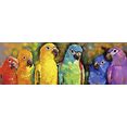 home affaire artprint op linnen automatic9751: papegaaien 120-40 cm multicolor