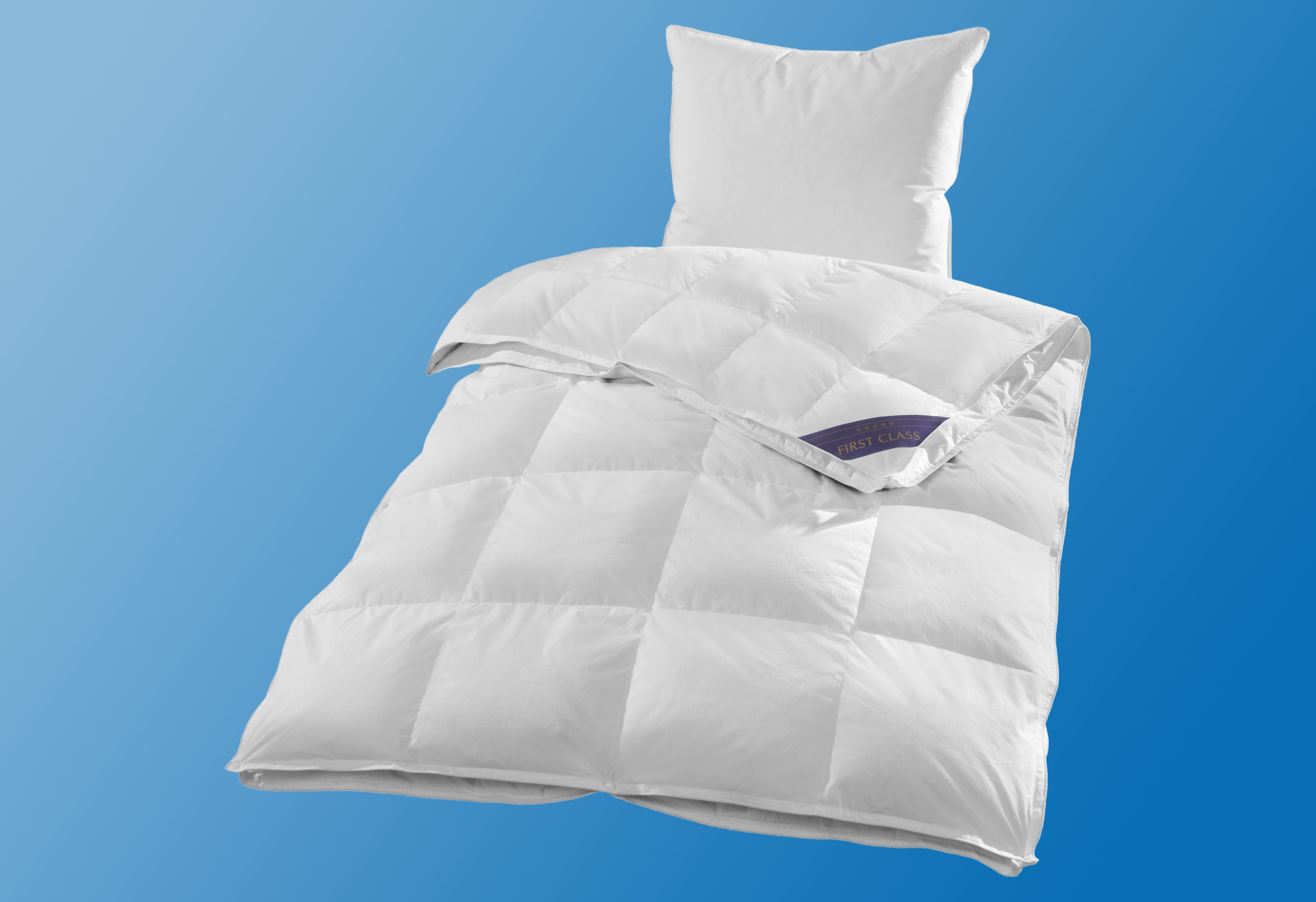 Hanse by RIBECO Donzen dekbed + veren kussen Jonas Slaapcomfort voor alle seizoenen! (voordeelset) dekbedden wit