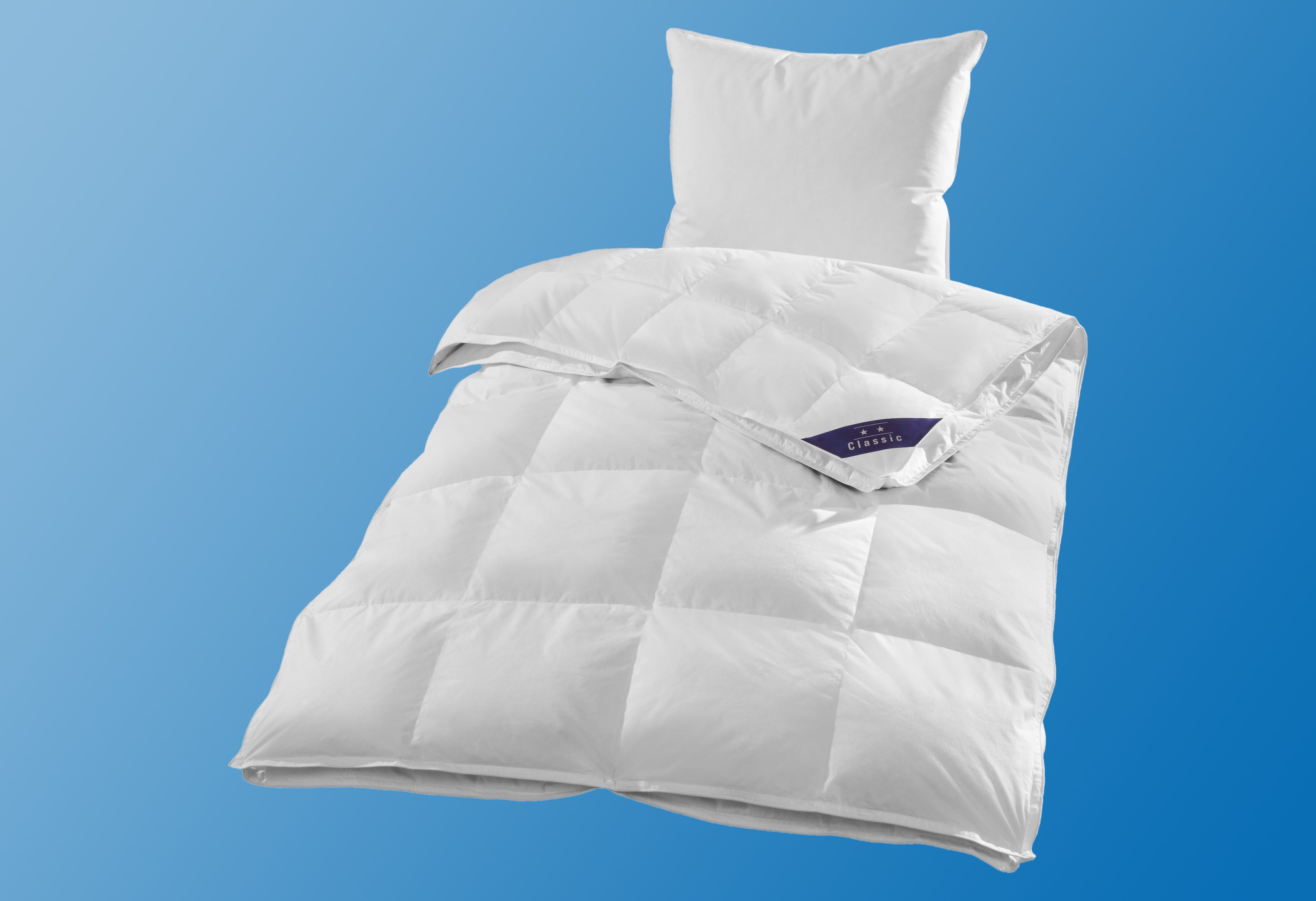 Hanse by RIBECO Veren dekbed + veren kussen Jonas Slaapcomfort voor alle seizoenen! (voordeelset) dekbedden wit