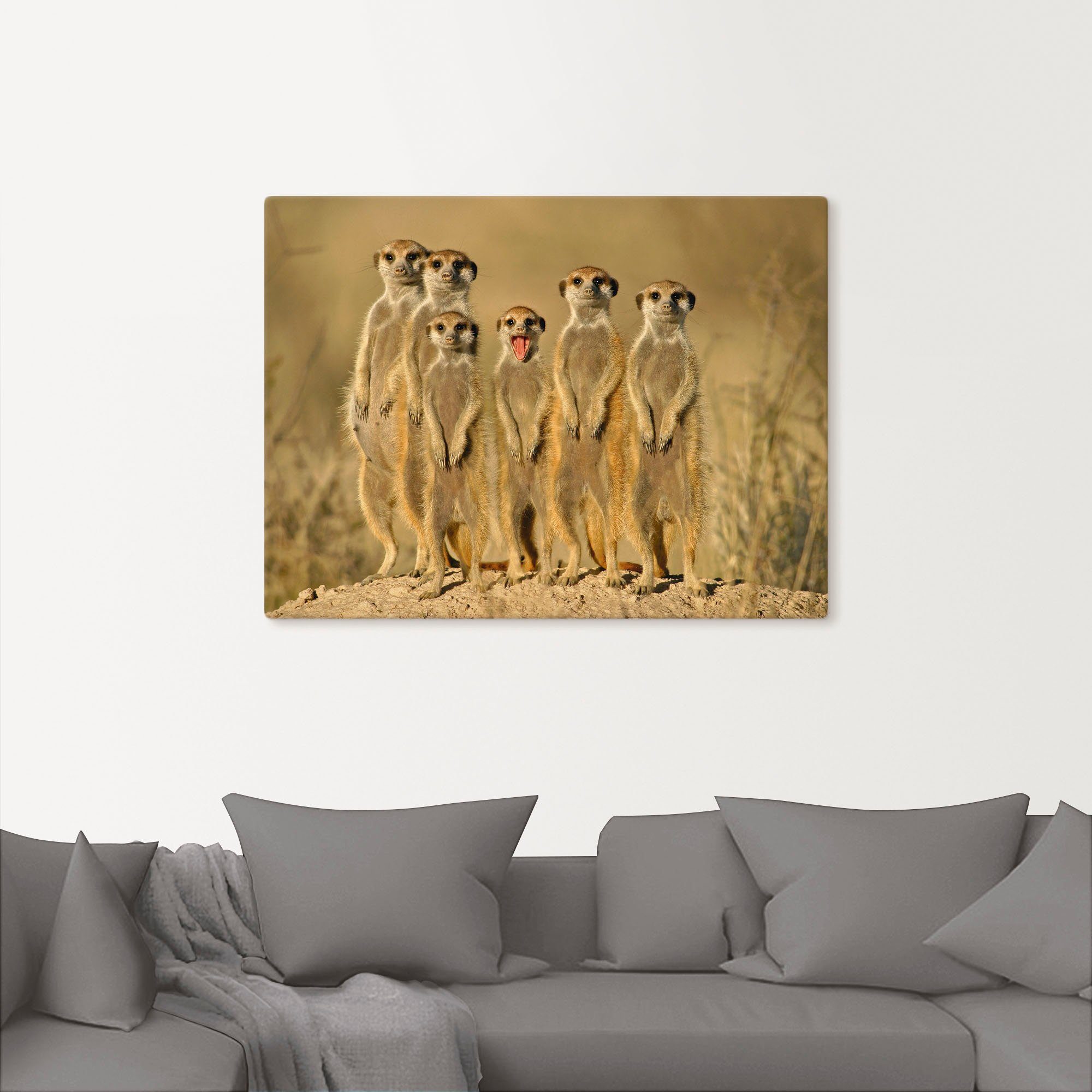 Artland Artprint Stokstaartjes familie als artprint van aluminium, artprint voor buiten, artprint op linnen, poster, muursticker