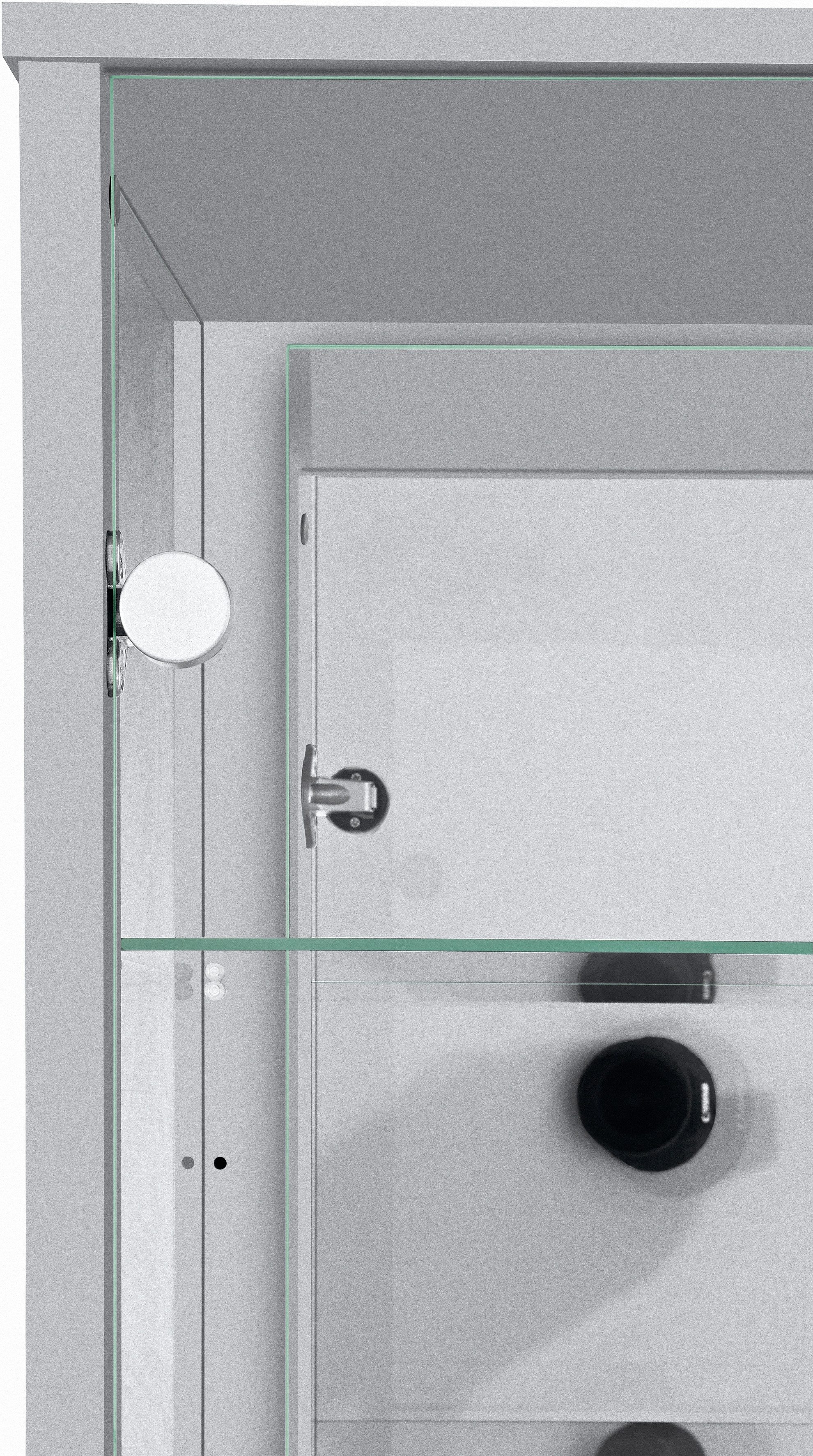 fif möbel Vitrinekast OPTIMA Staande vitrine/glasvitrine met 2 glazen deuren, perfect voor verzamelaars, verzamelvitrine