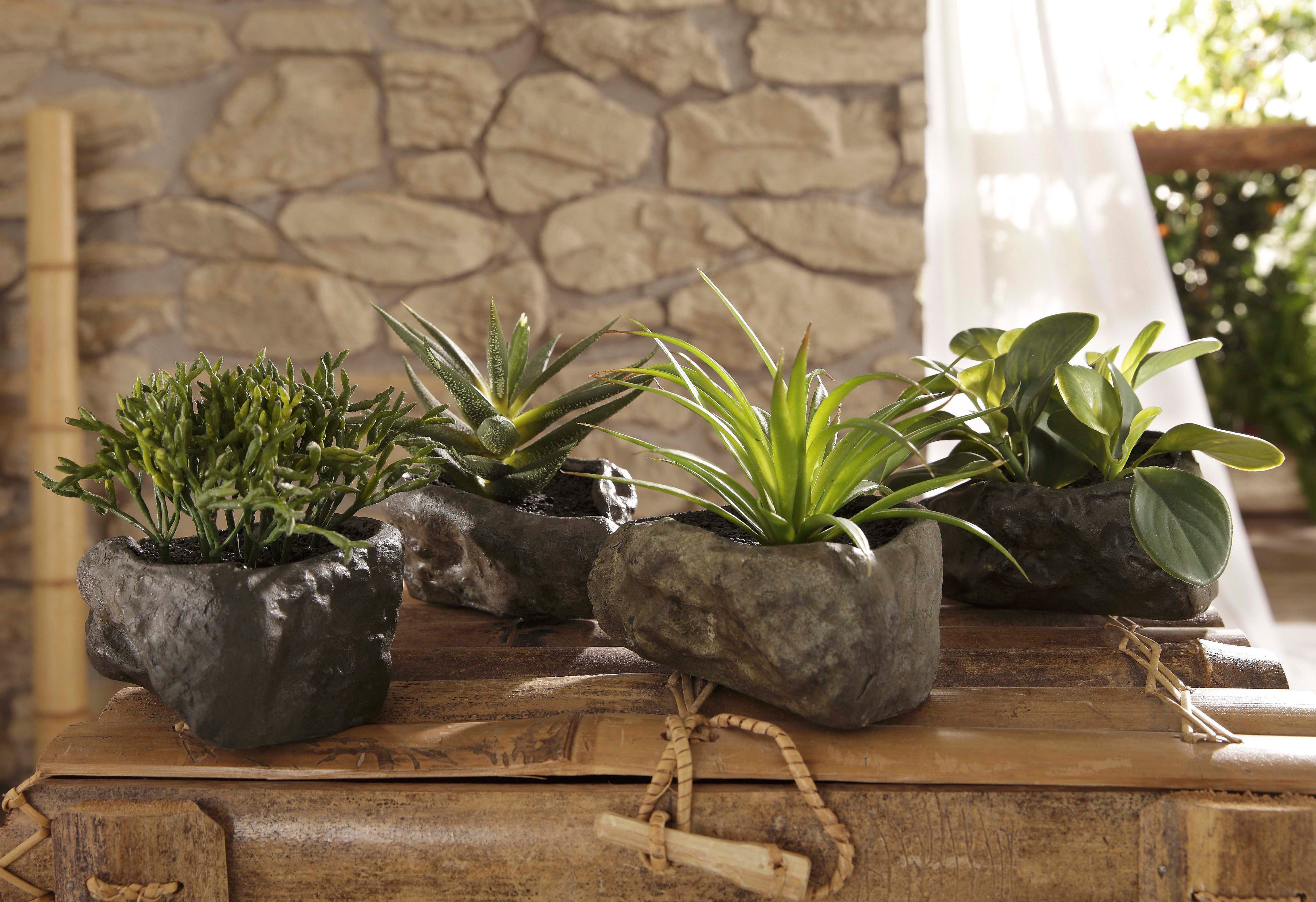 Home affaire Kunstplant Vetplanten (4 stuks)