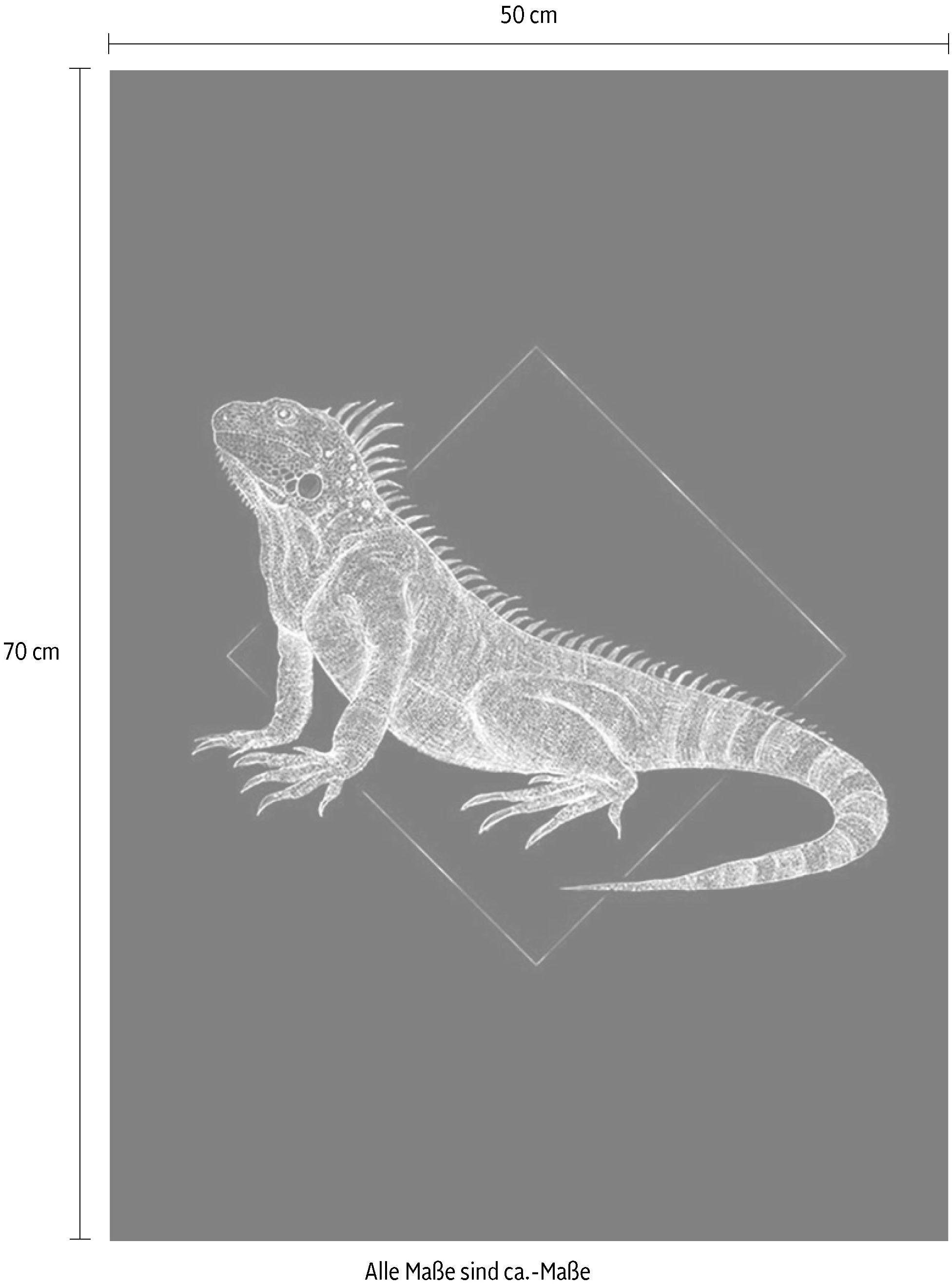 Komar Wanddecoratie Iguana black Wanddecoratie - zonder lijst (1 stuk)