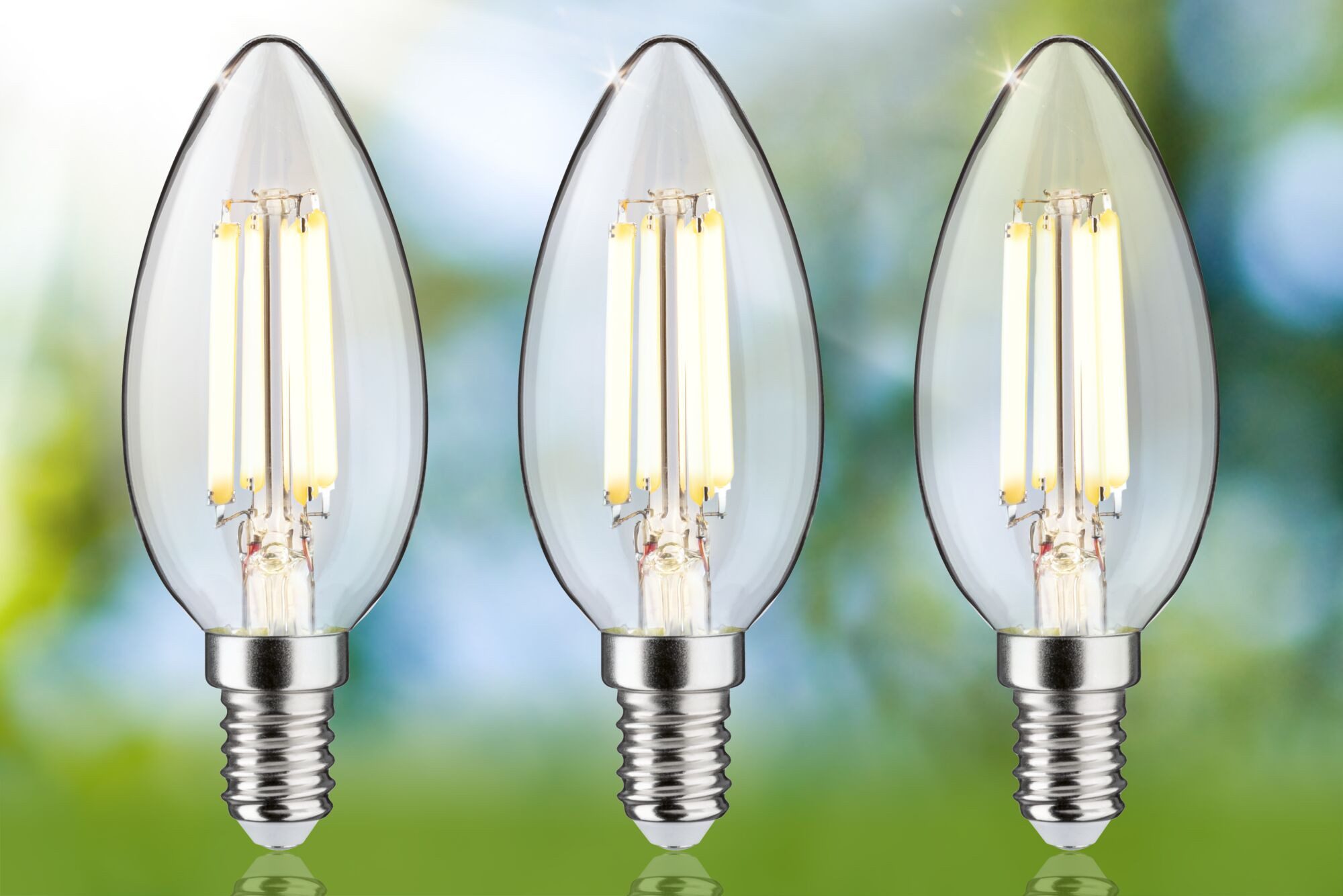 Paulmann Led-verlichting Eco-Line filament 230V LED kaars E14 3-pack 525lm 2,5W 3000K helder (3 stuks)