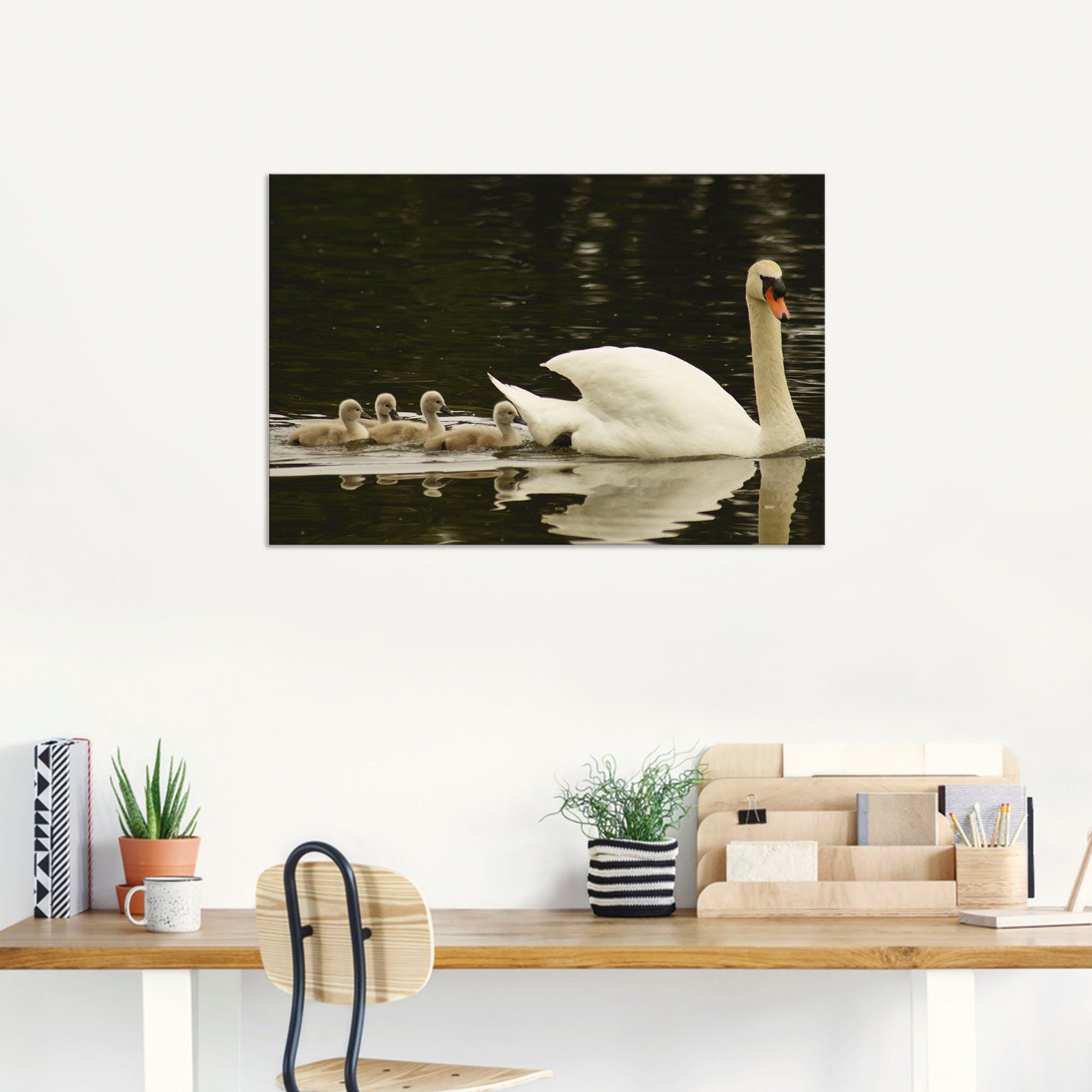 Artland Artprint Zwanen familie als artprint van aluminium, artprint op linnen, muursticker of poster in verschillende maten