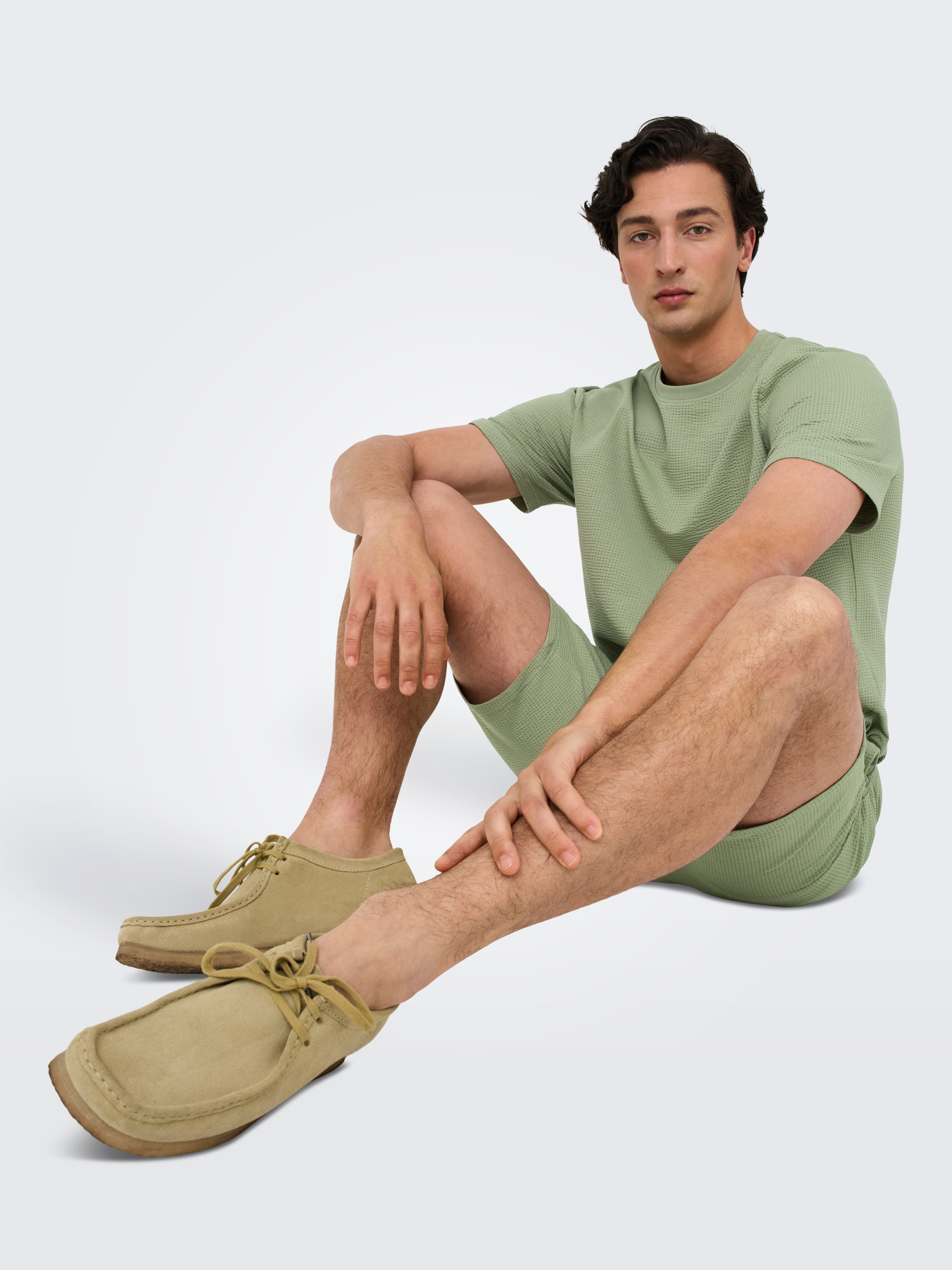 ONLY & SONS Shirt met ronde hals ONSKIAN LIFE REG SEERSUCKER SS TEE NOOS
