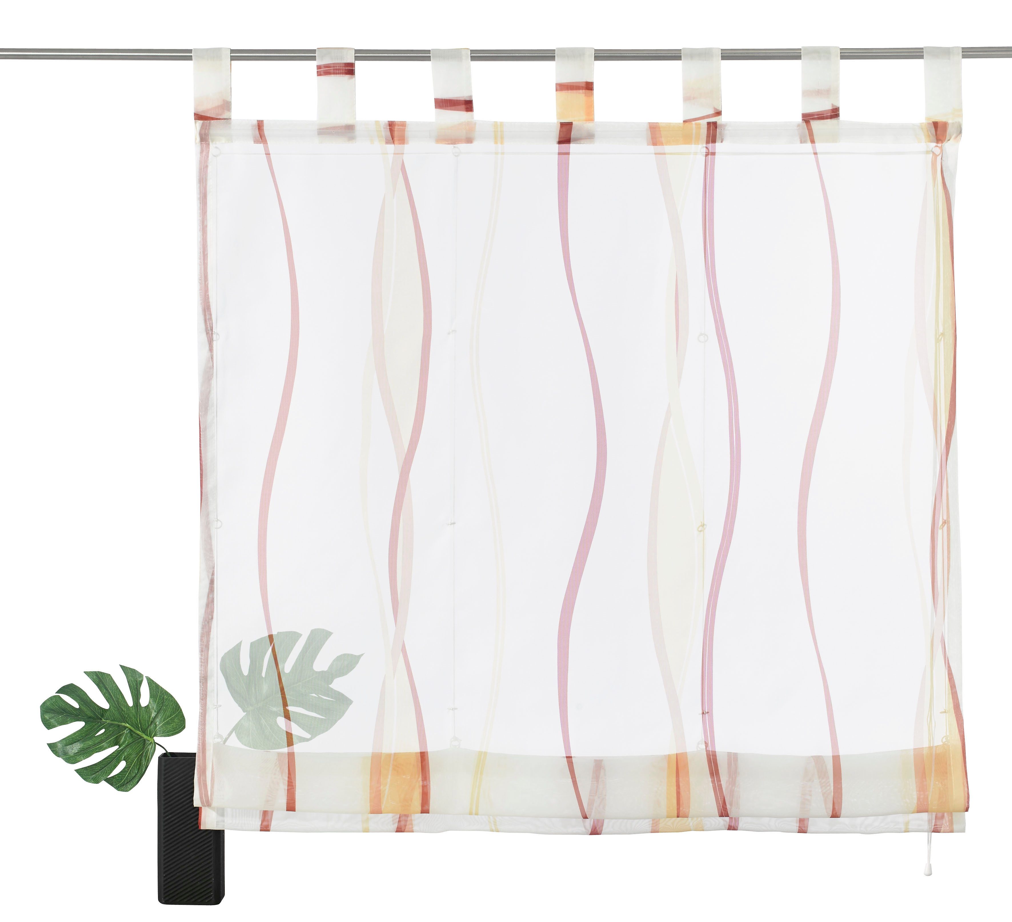 my home Romeins rolgordijn Dimona Transparant, voile, polyester (1 stuk)