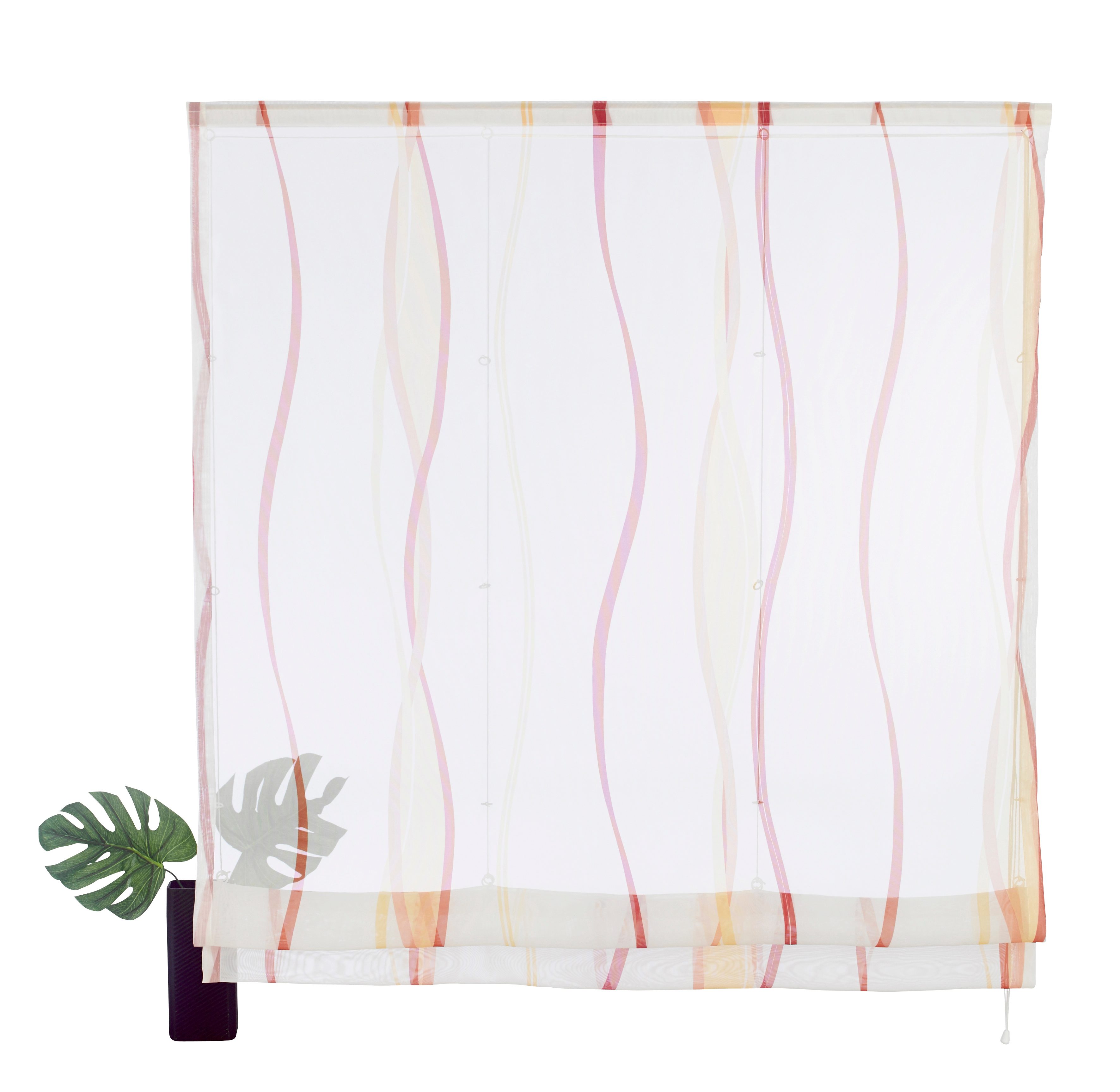 my home Romeins rolgordijn Dimona Transparant, voile, polyester, golven (1 stuk)