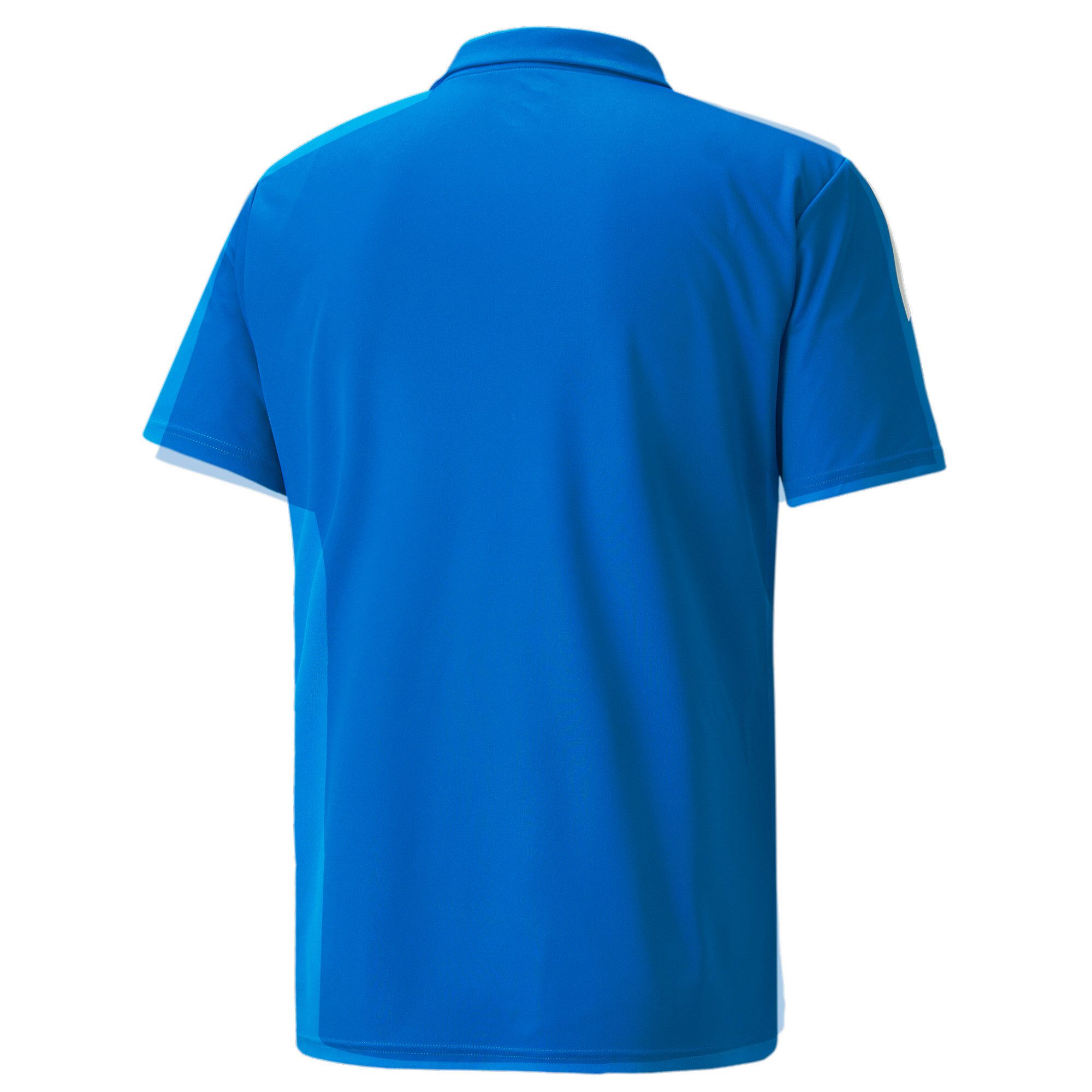 PUMA Poloshirt TEAMLIGA SIDELINE POLO
