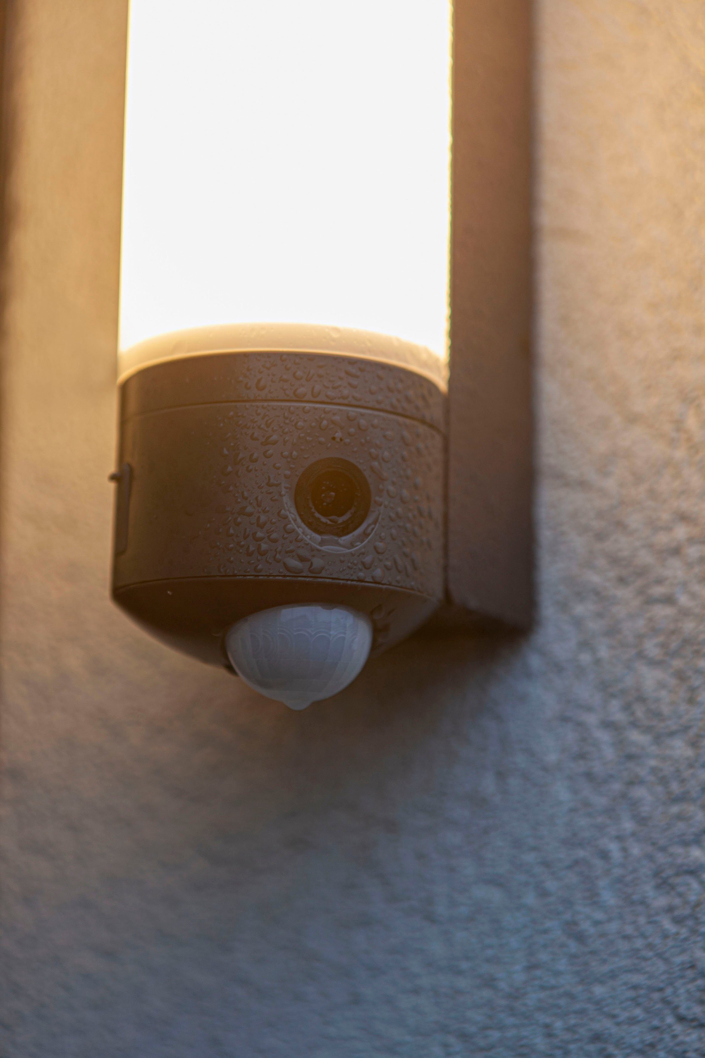 LUTEC Slimme ledlamp Pollux Smart-Home camera lamp (1 stuk)