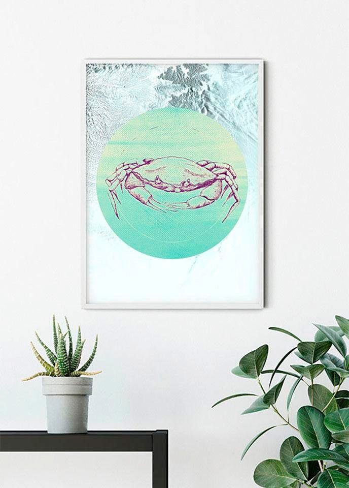Komar Wanddecoratie Crab Sea Wanddecoratie - zonder lijst (1 stuk)