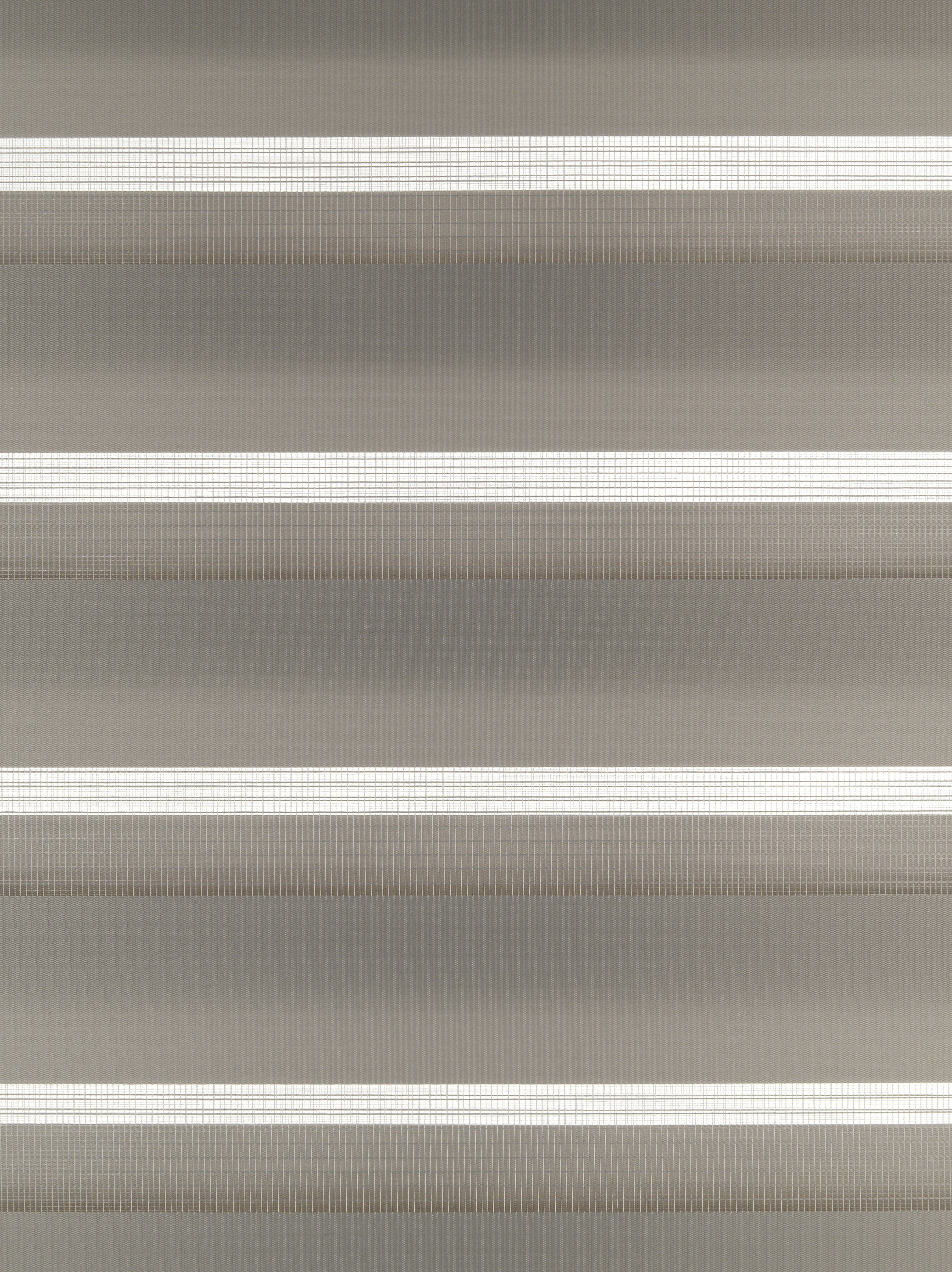 GARDINIA Paneelgordijn Day+Night met aluminiumprofiel inclusief runner (1 stuk)