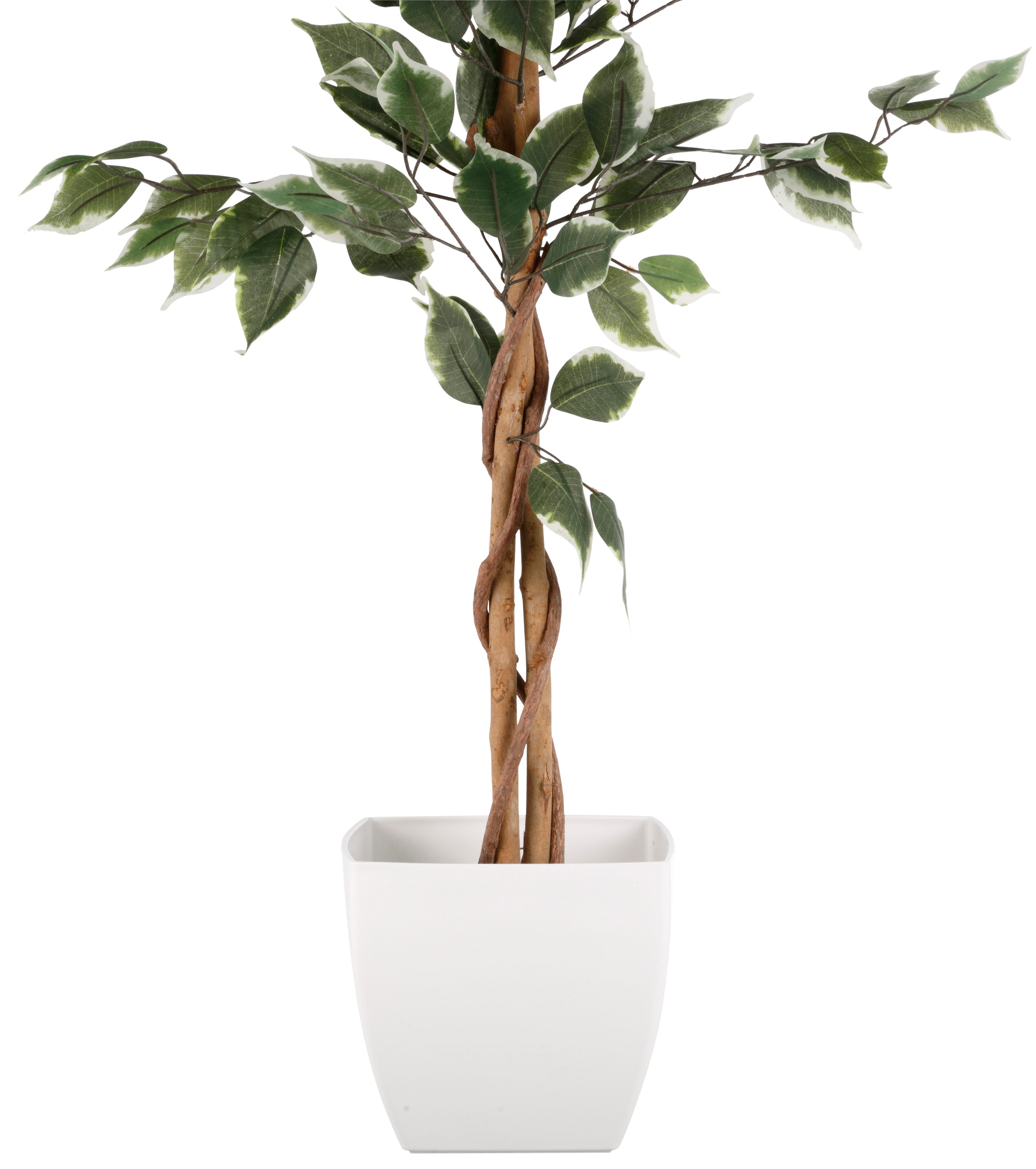 Creativ green Kunstplant Ficus Benjamini (1 stuk)