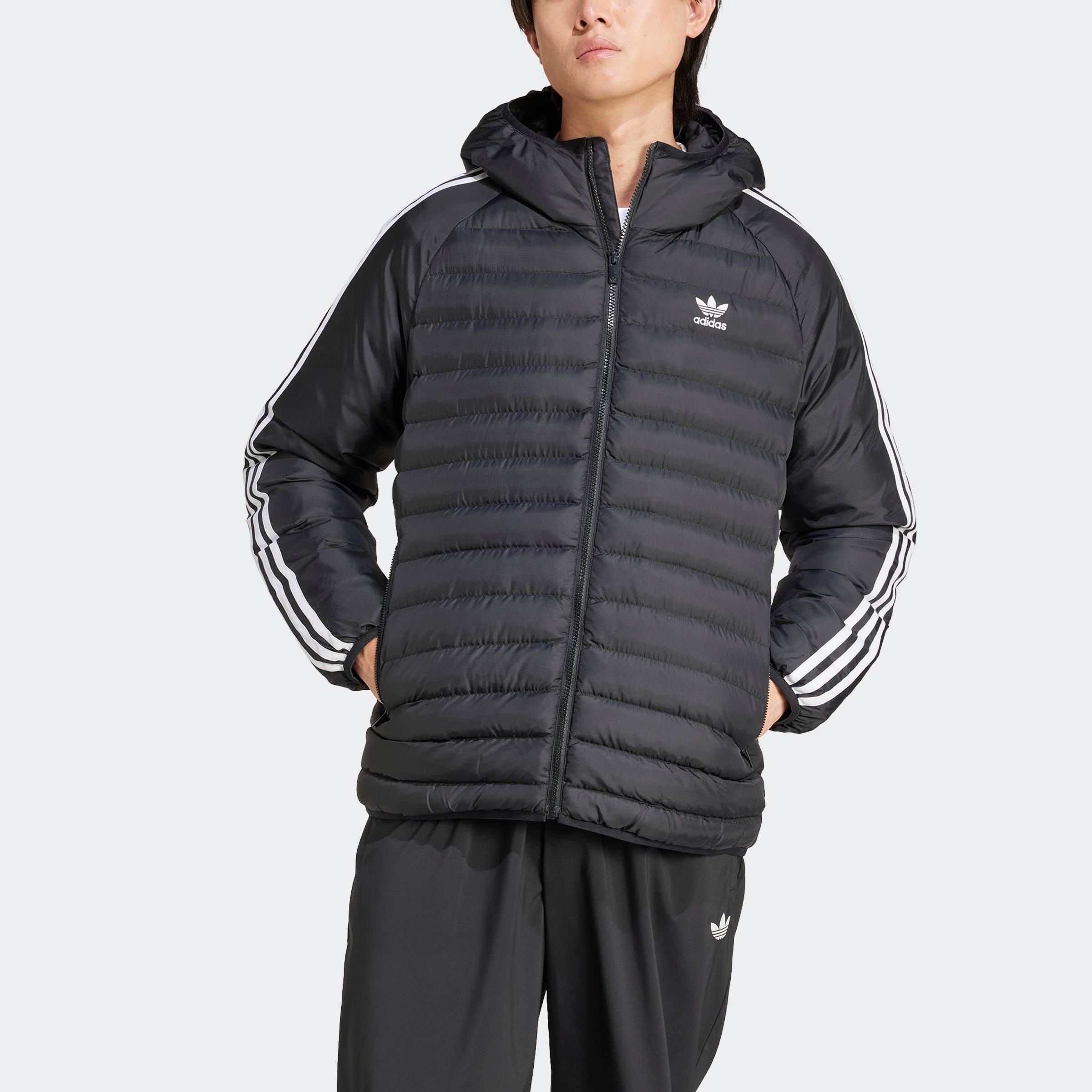 adidas Originals Gewatteerde jas PAD HOODED JKT