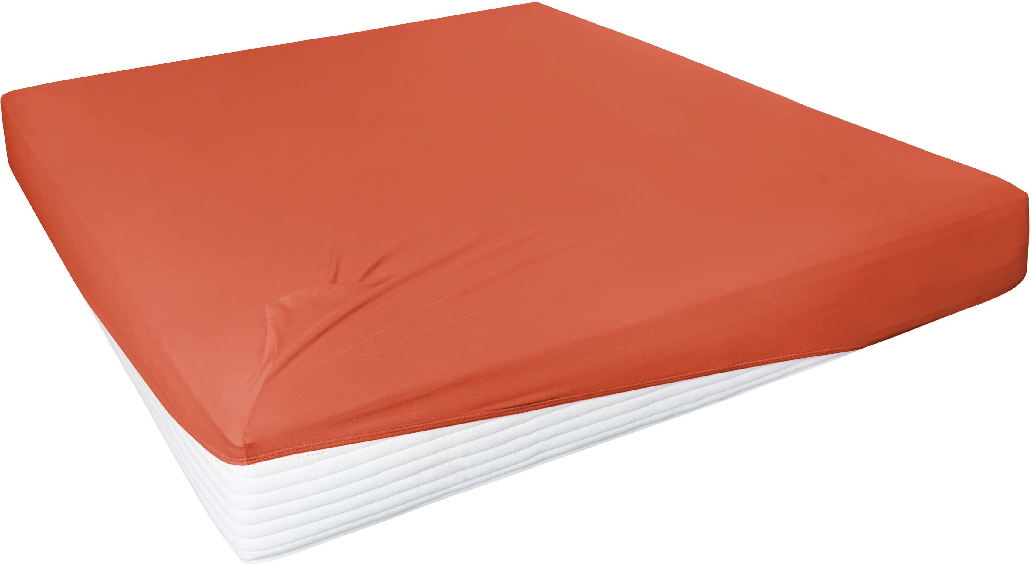 Primera Hoeslaken Elastaan-fijnjersey PREMIUM, van 95% gekamd katoen en 5% elastaan, tot 28 cm hoogte (1 stuk) hoeslakens maat 140-160 cm x 200-220