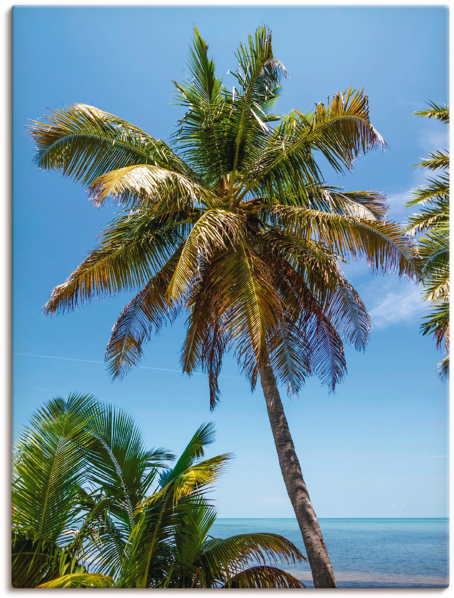 Artland Artprint Florida Keys palm & ocean in vele afmetingen & productsoorten -artprint op linnen, poster, muursticker / wandfolie ook geschikt voor de badkamer (1 stuk)