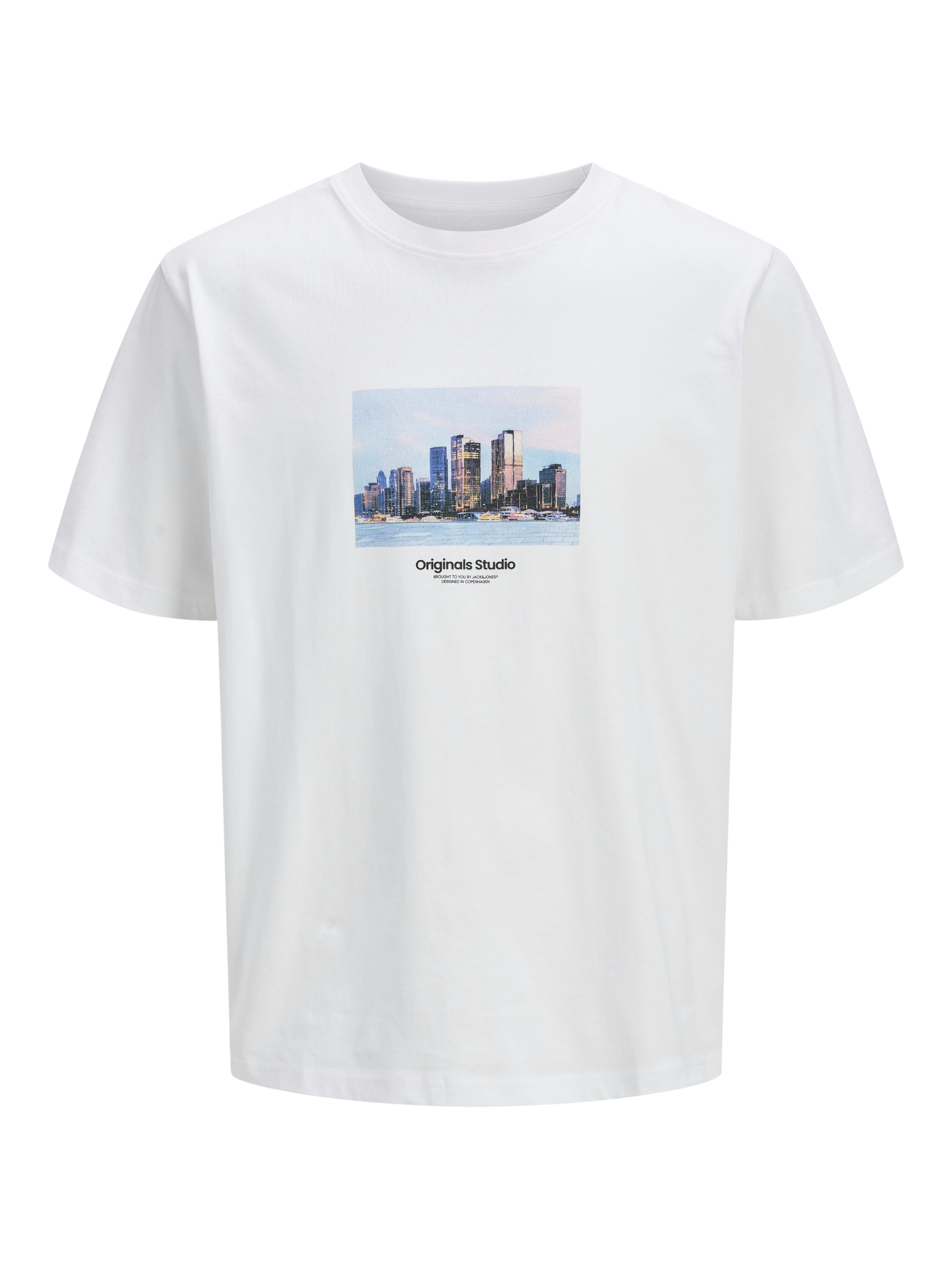 Jack & Jones Shirt met korte mouwen JORVESTERBRO PICTURE TEE SS CREW NECK SN