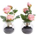 botanic-haus kunstbloem rozen in het glas (set) roze