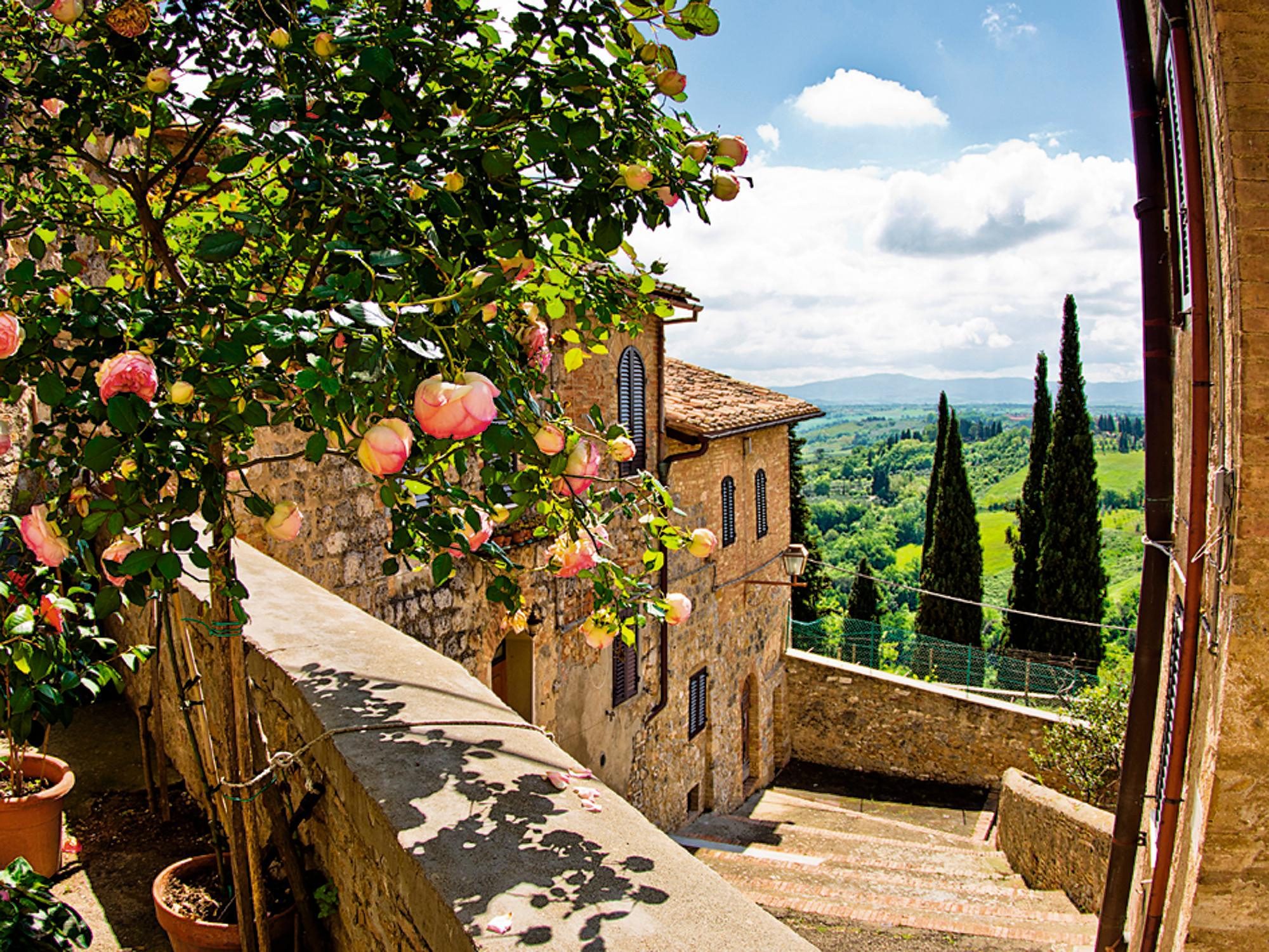 Home affaire Print op glas Banepetkovic: rozen in San Gimignano, met Toscaans landschap