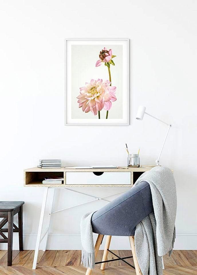 Komar Wanddecoratie Dahlia Wanddecoratie - zonder lijst (1 stuk)