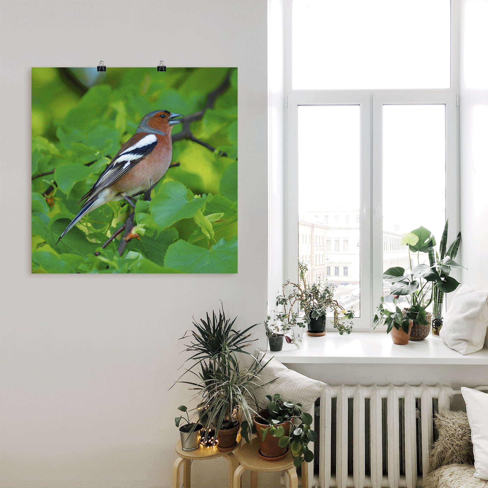 Artland Artprint Vink lied als artprint op linnen, poster in verschillende formaten maten