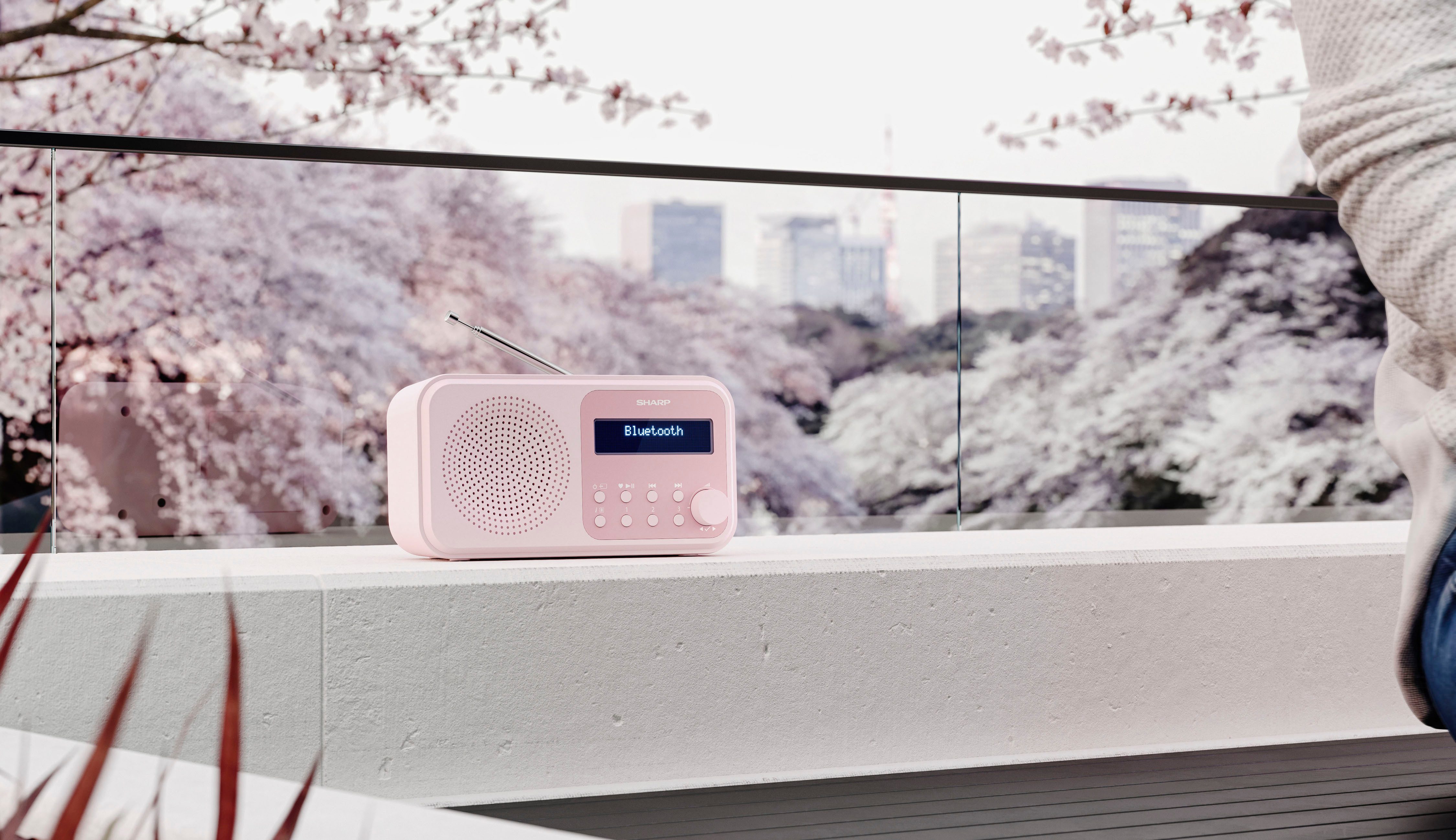 Sharp Radio DR-P420